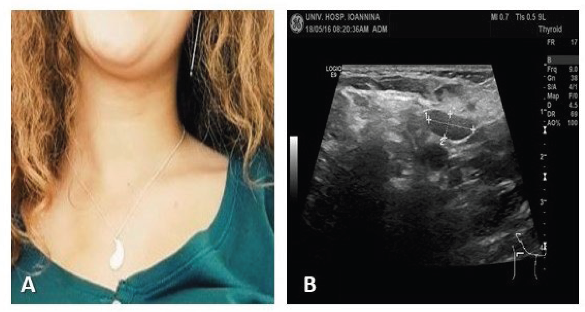 Preprints 173651 g005