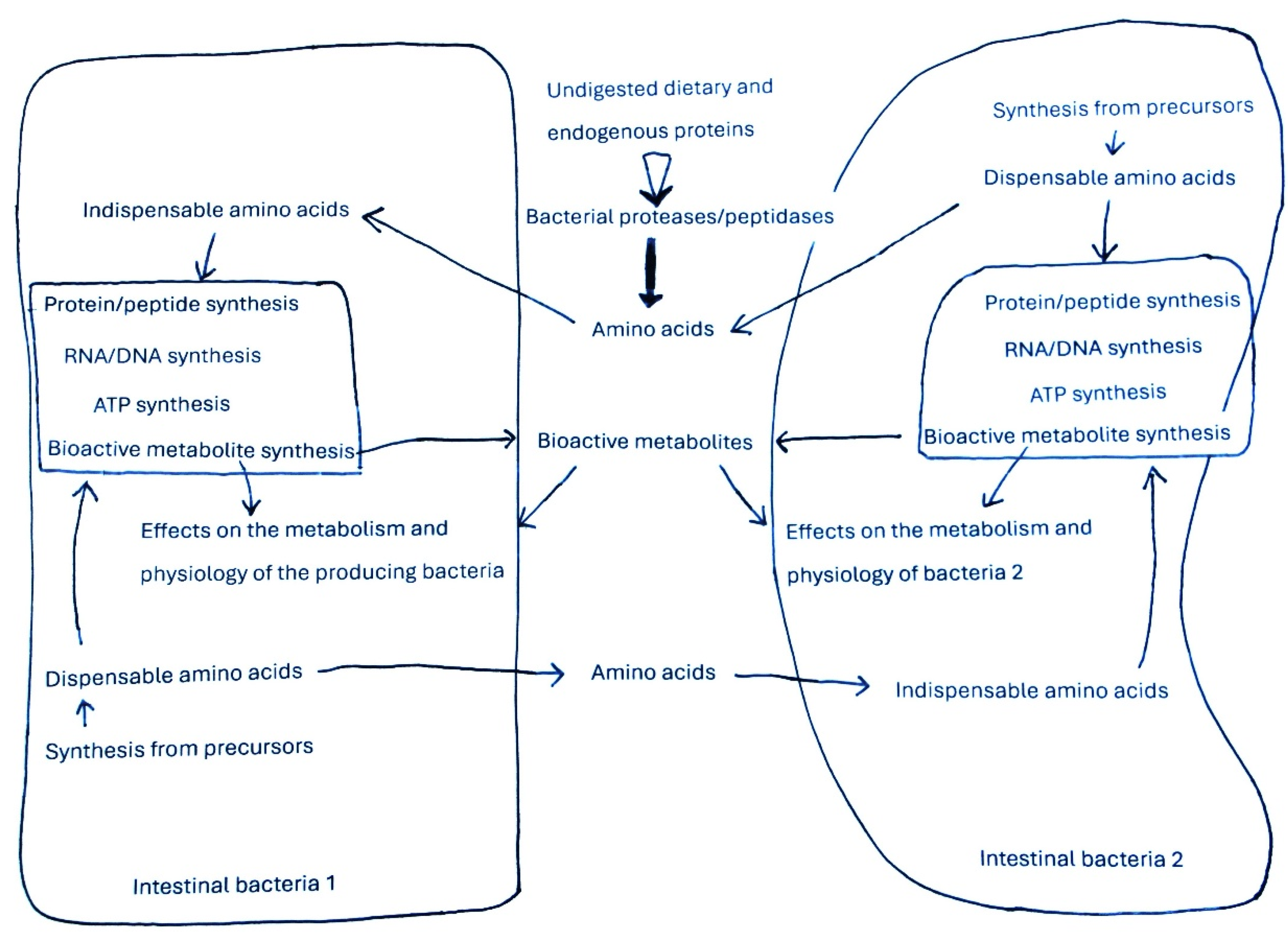 Preprints 181710 g001