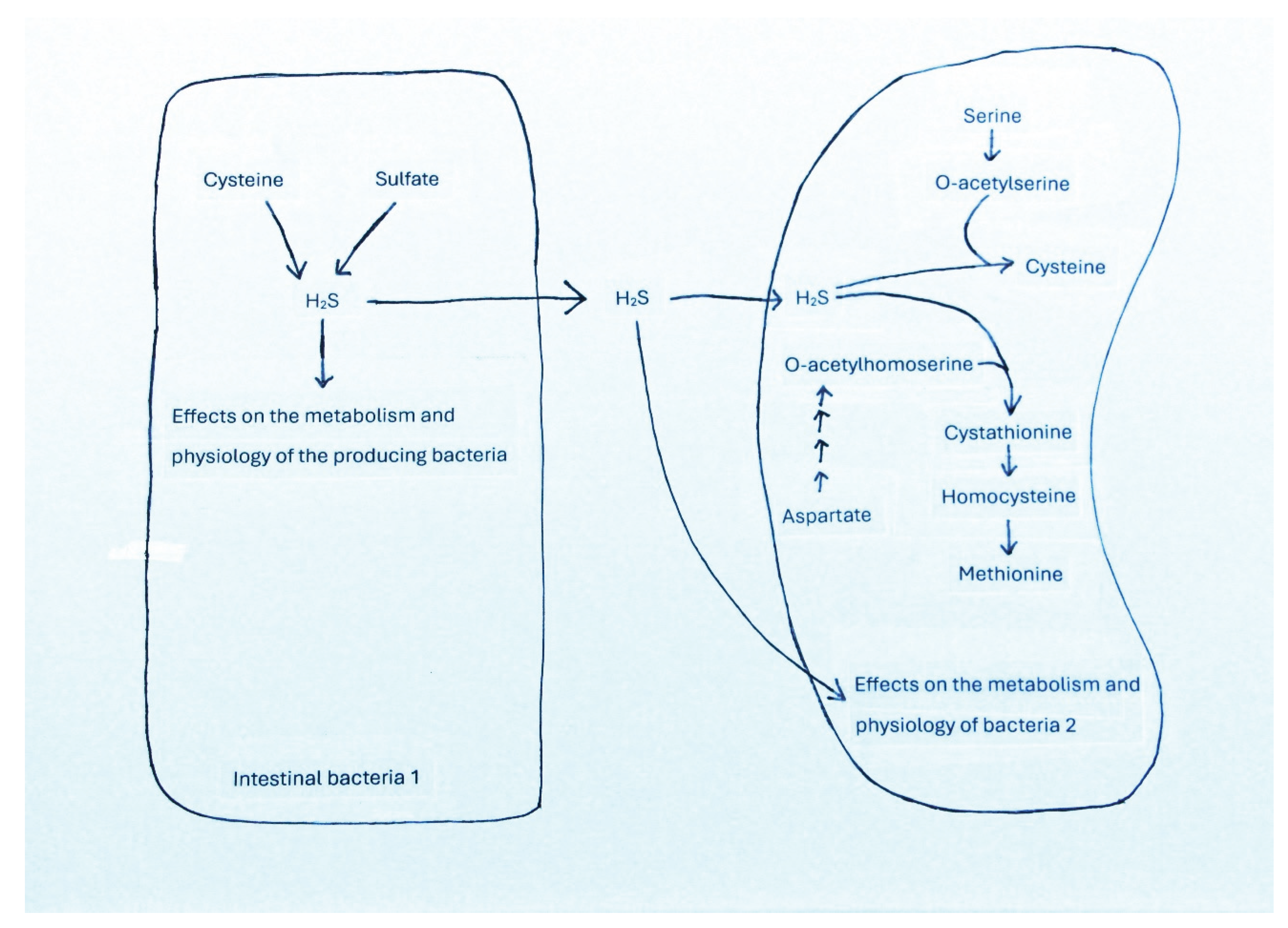 Preprints 181710 g003
