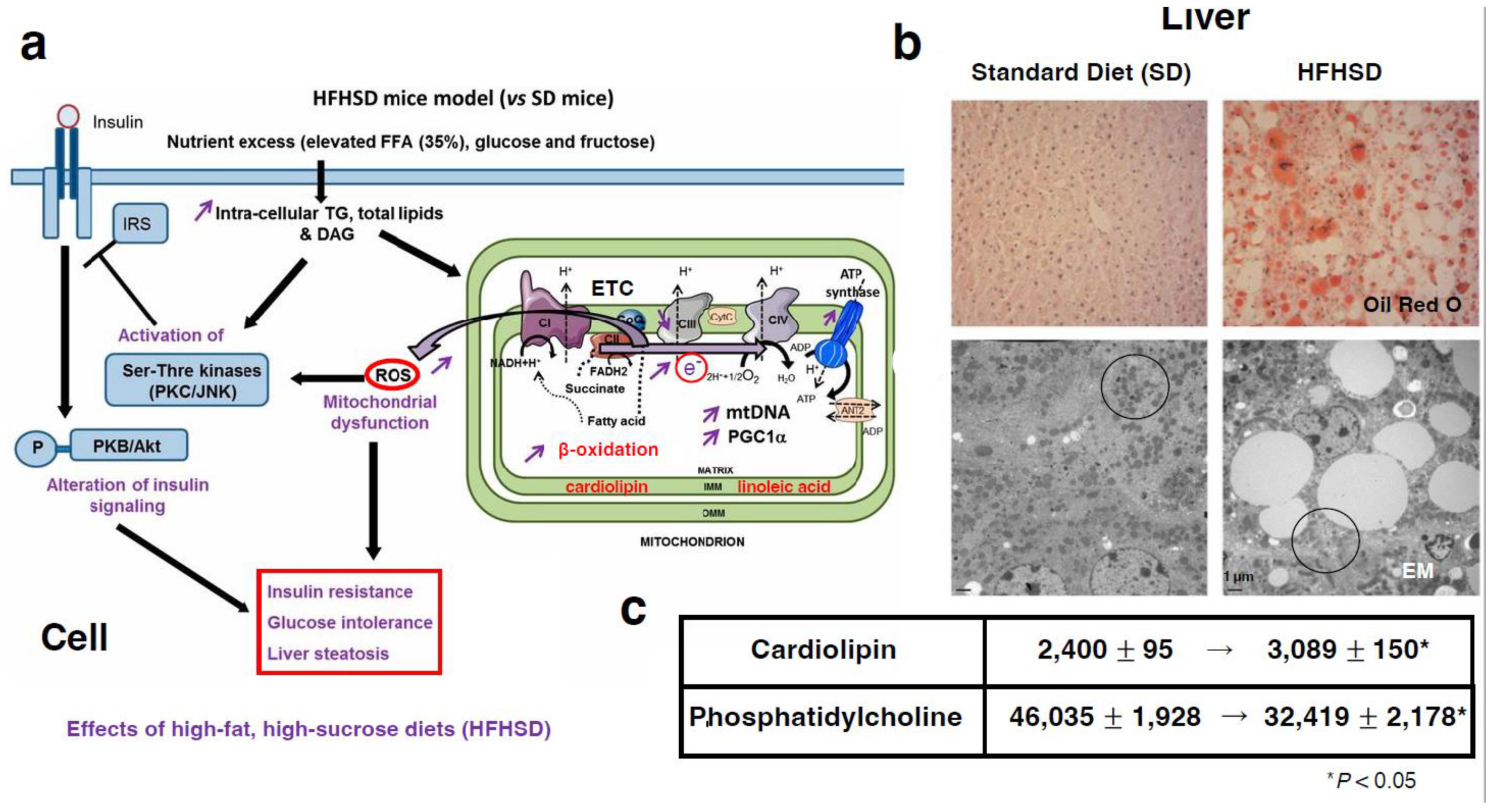 Preprints 139989 g001