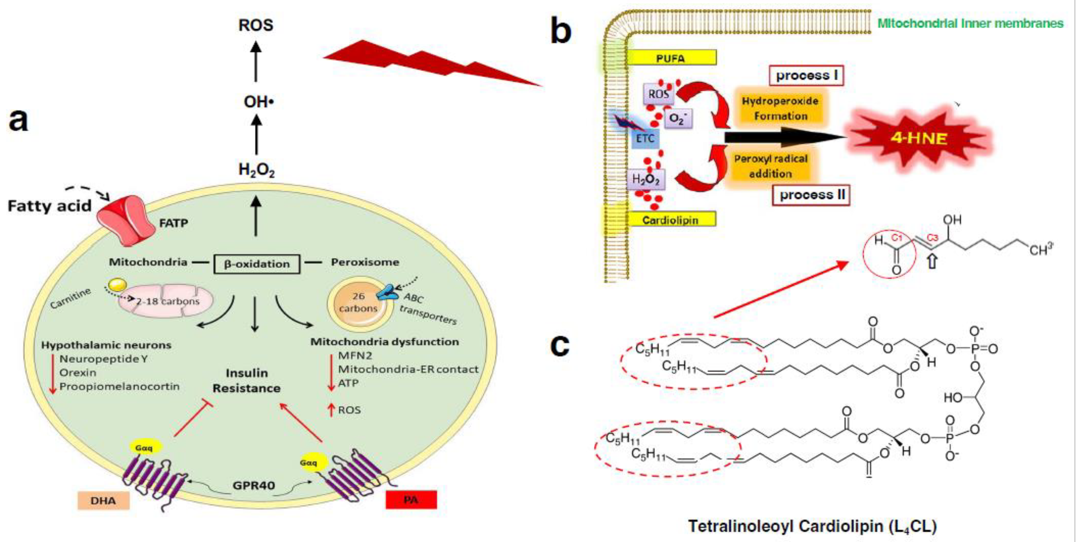 Preprints 139989 g002