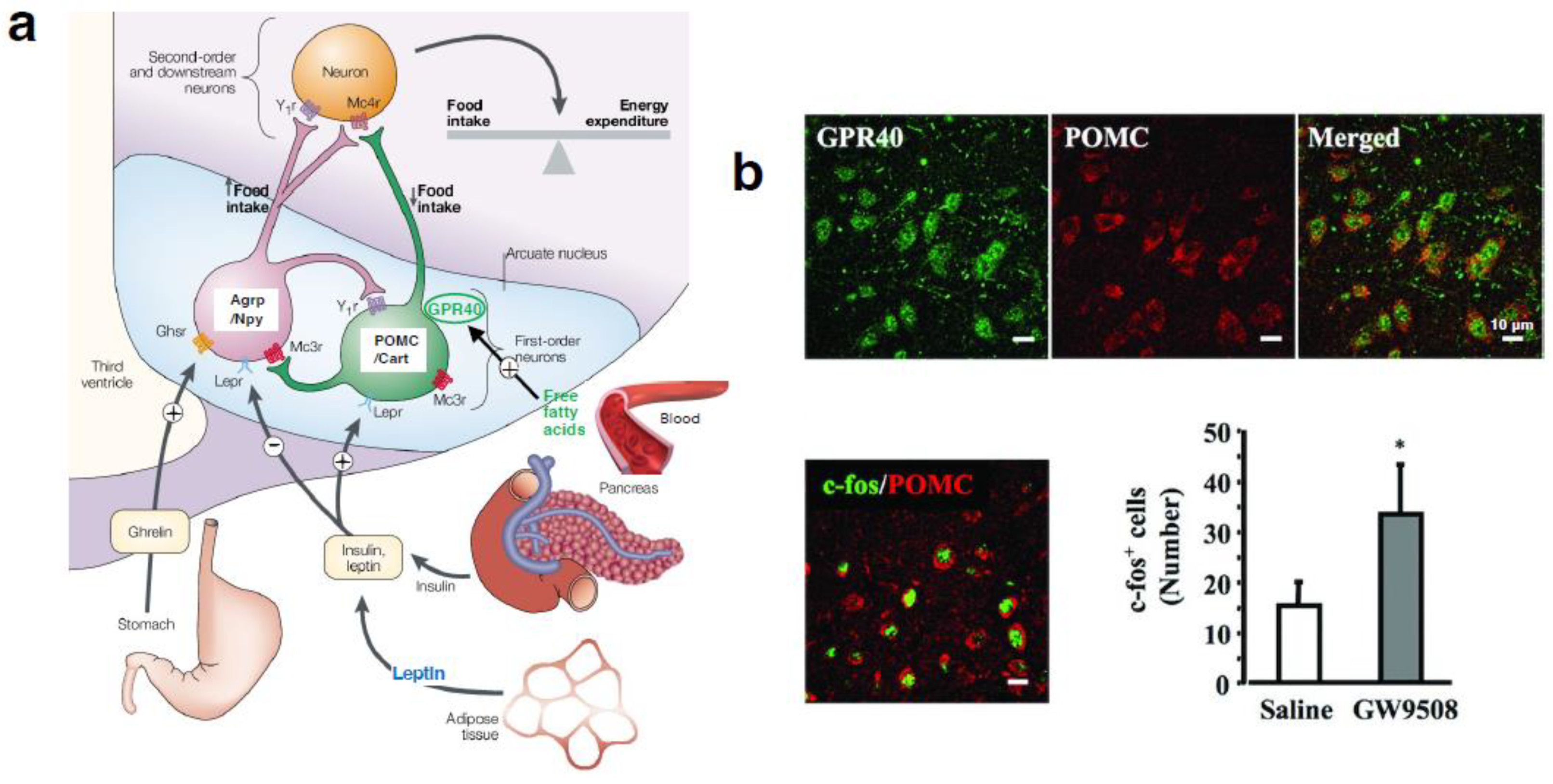Preprints 139989 g003