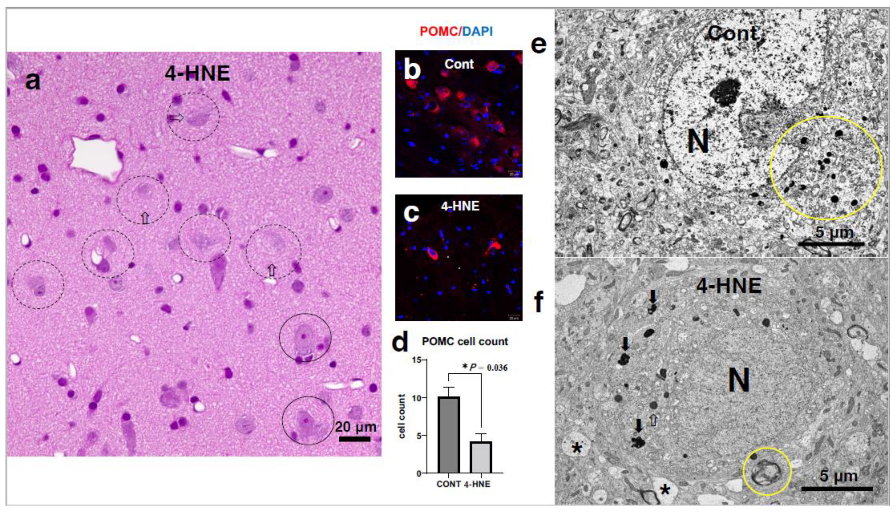 Preprints 139989 g005