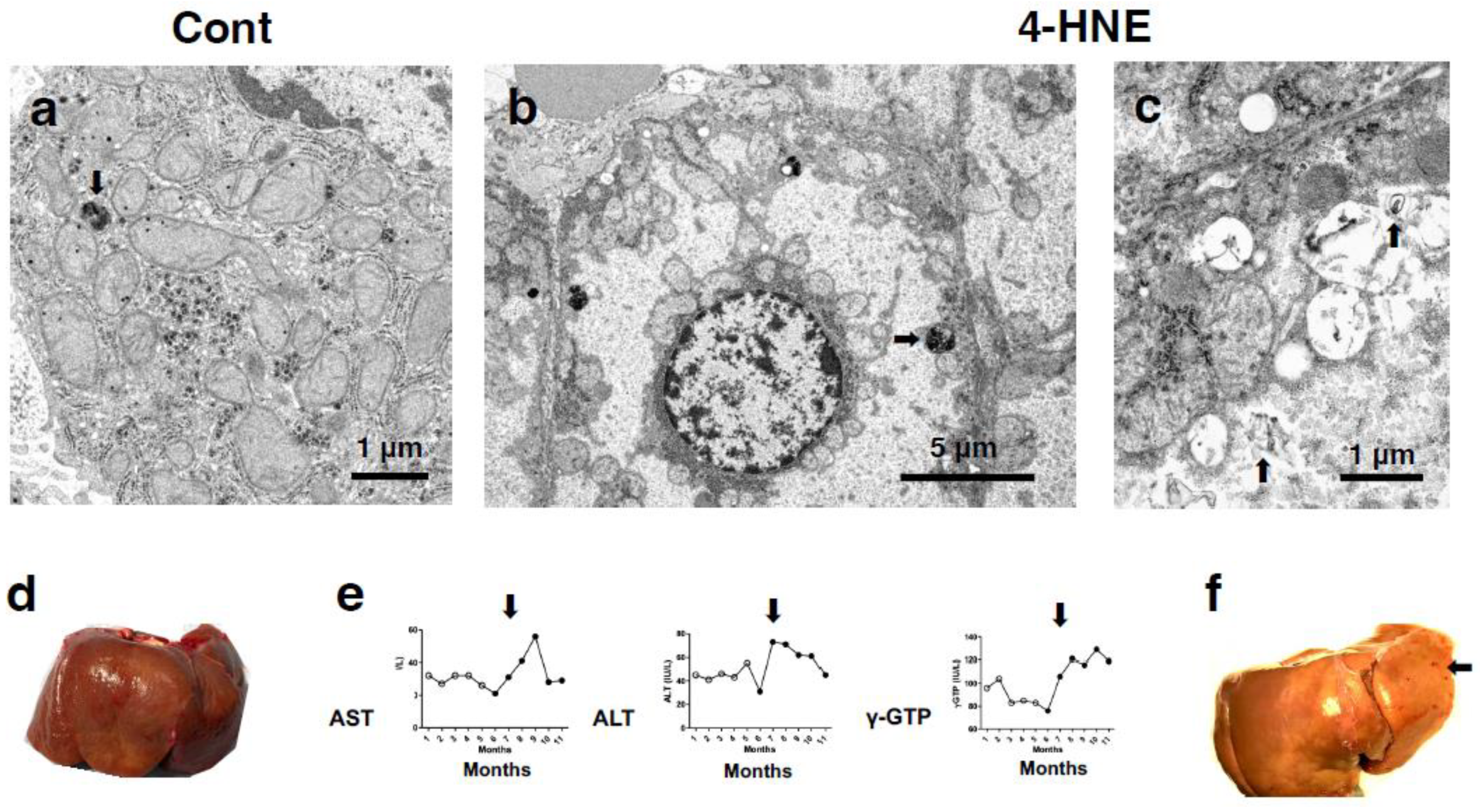 Preprints 139989 g006