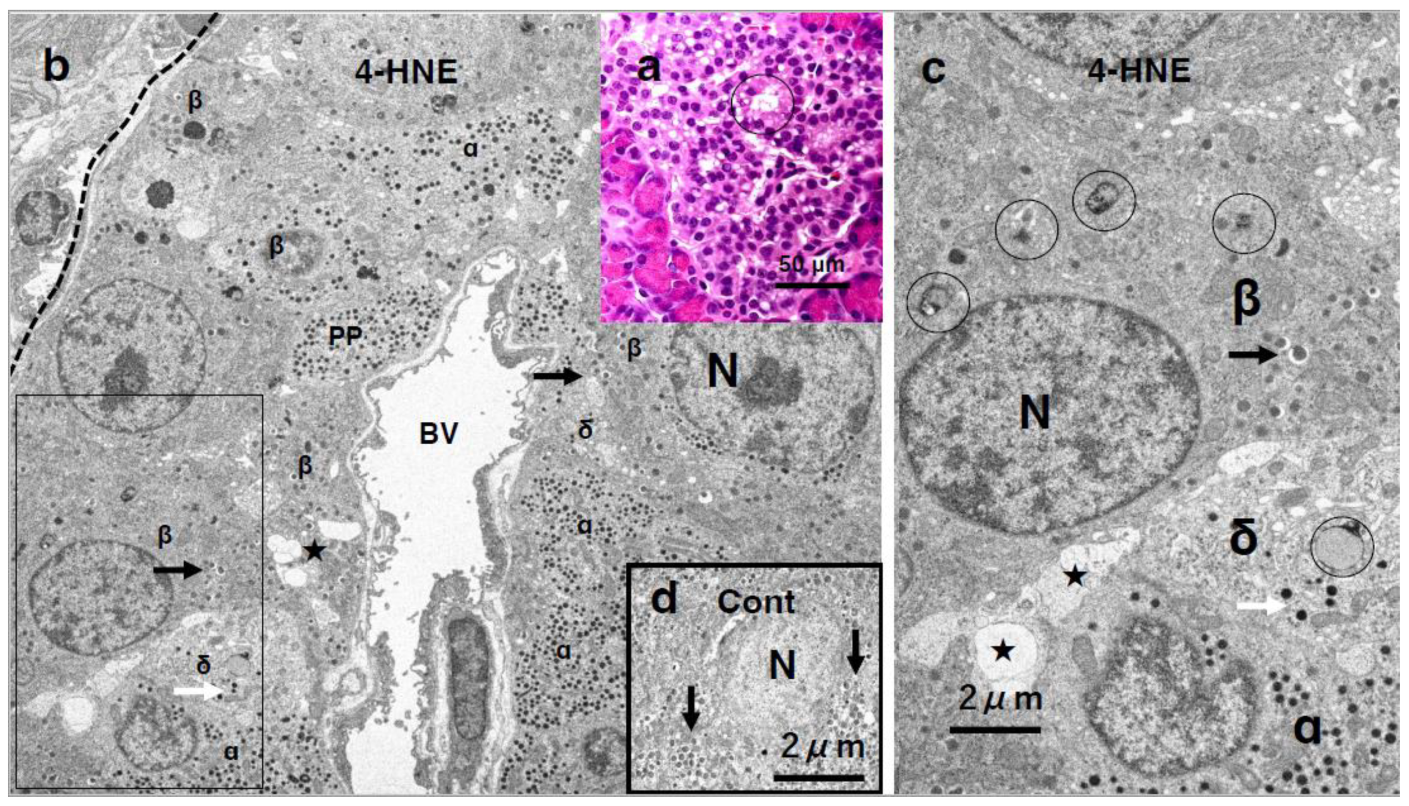 Preprints 139989 g007