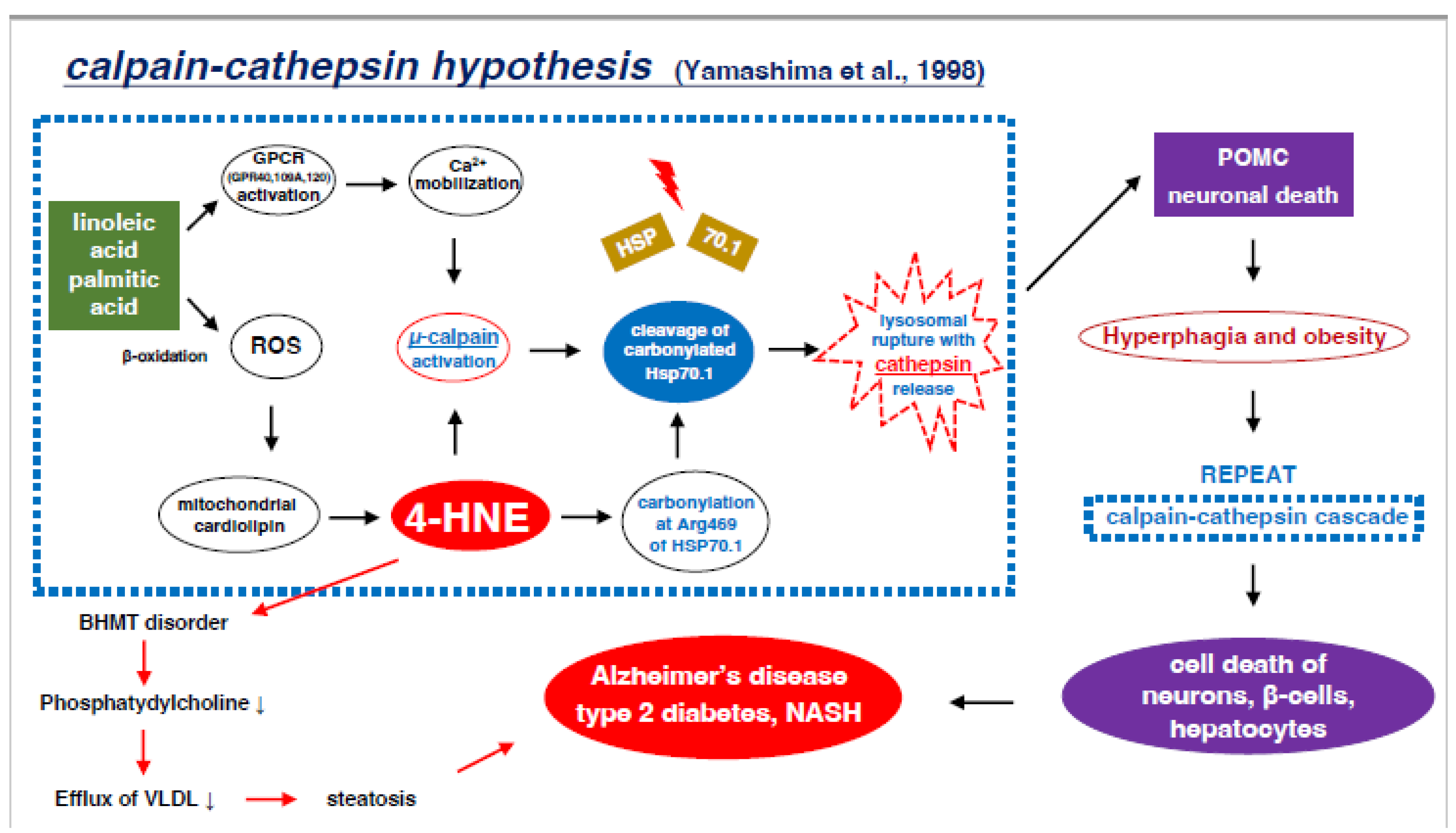 Preprints 139989 g009