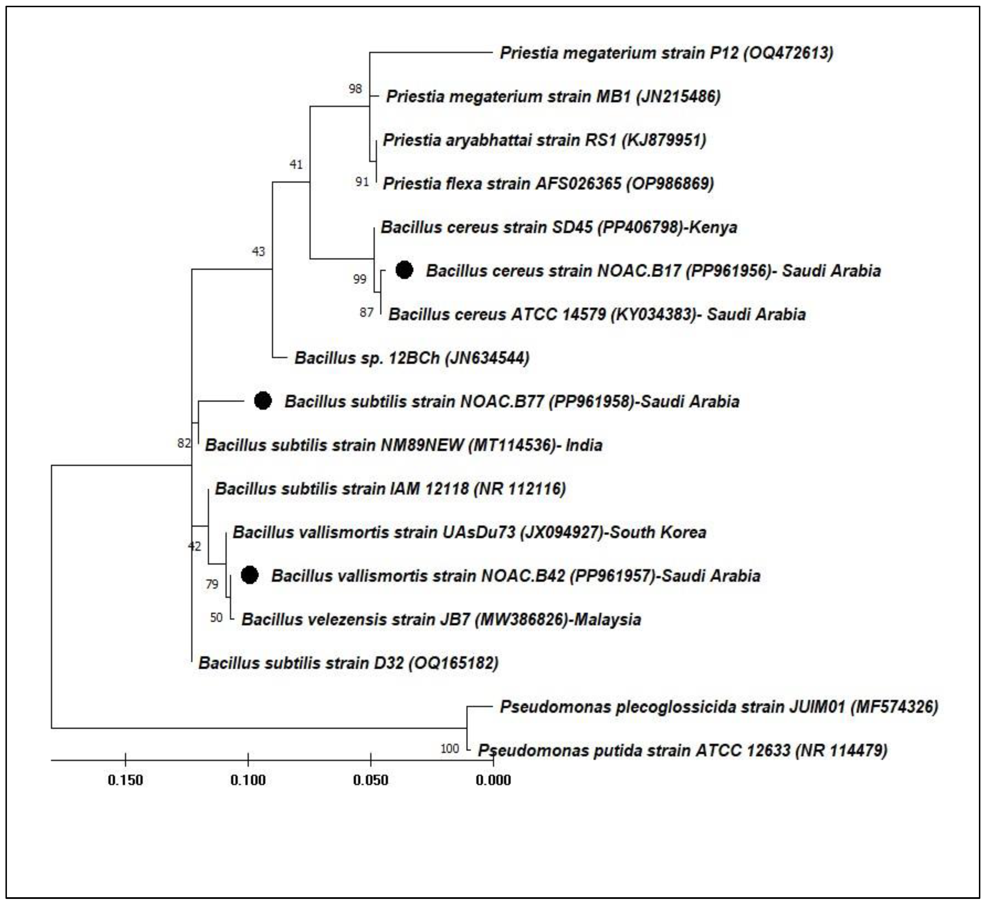 Preprints 190382 g005