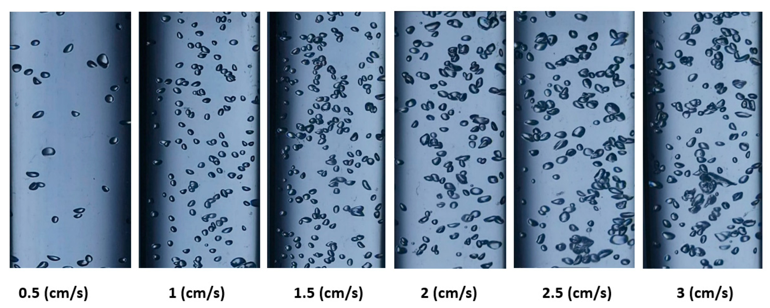 Preprints 80421 g005