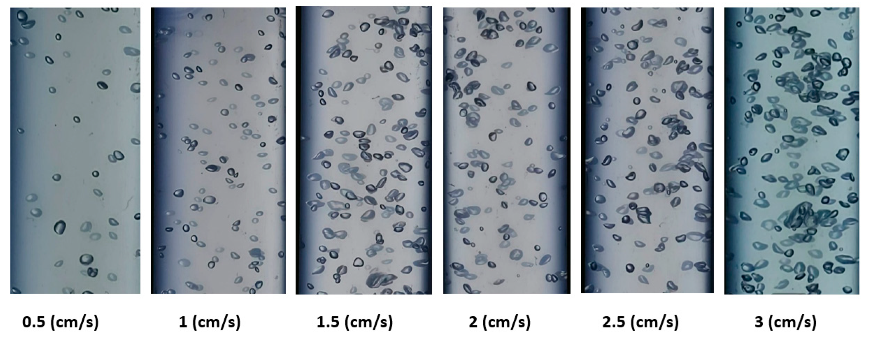 Preprints 80421 g006