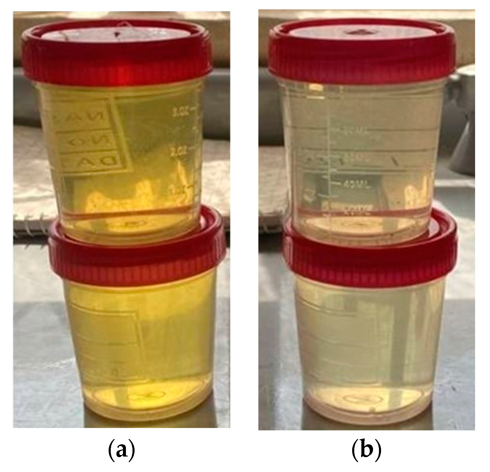 Preprints 80421 g013