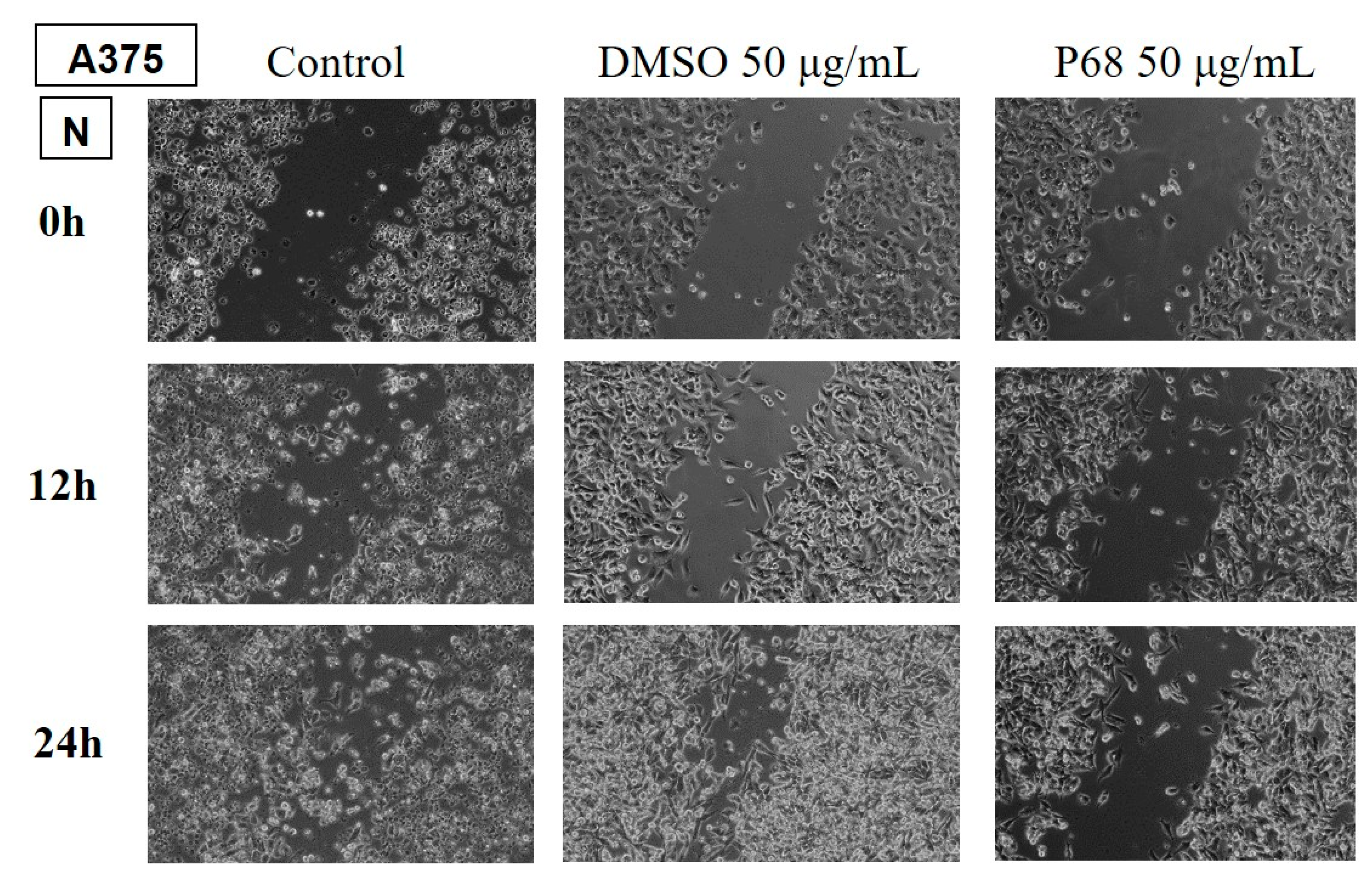 Preprints 142918 g008