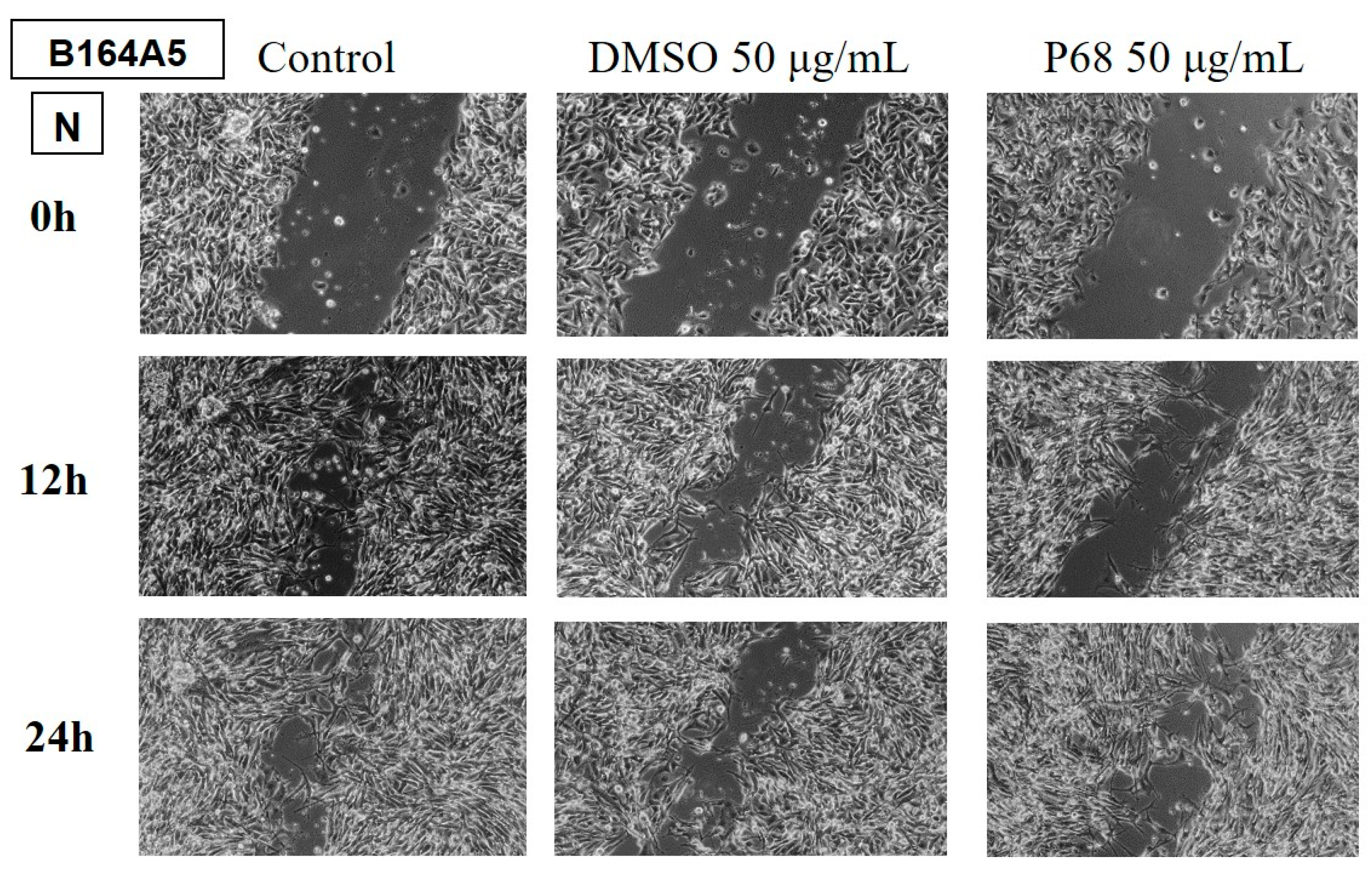 Preprints 142918 g010