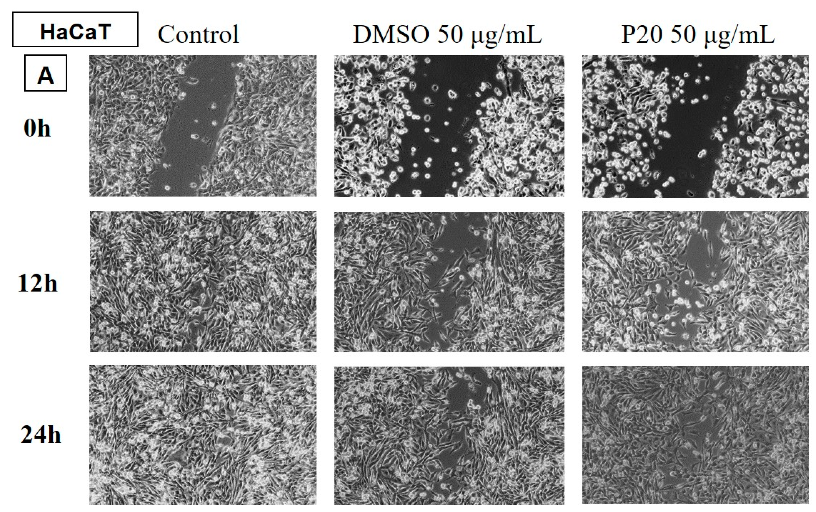 Preprints 142918 g011