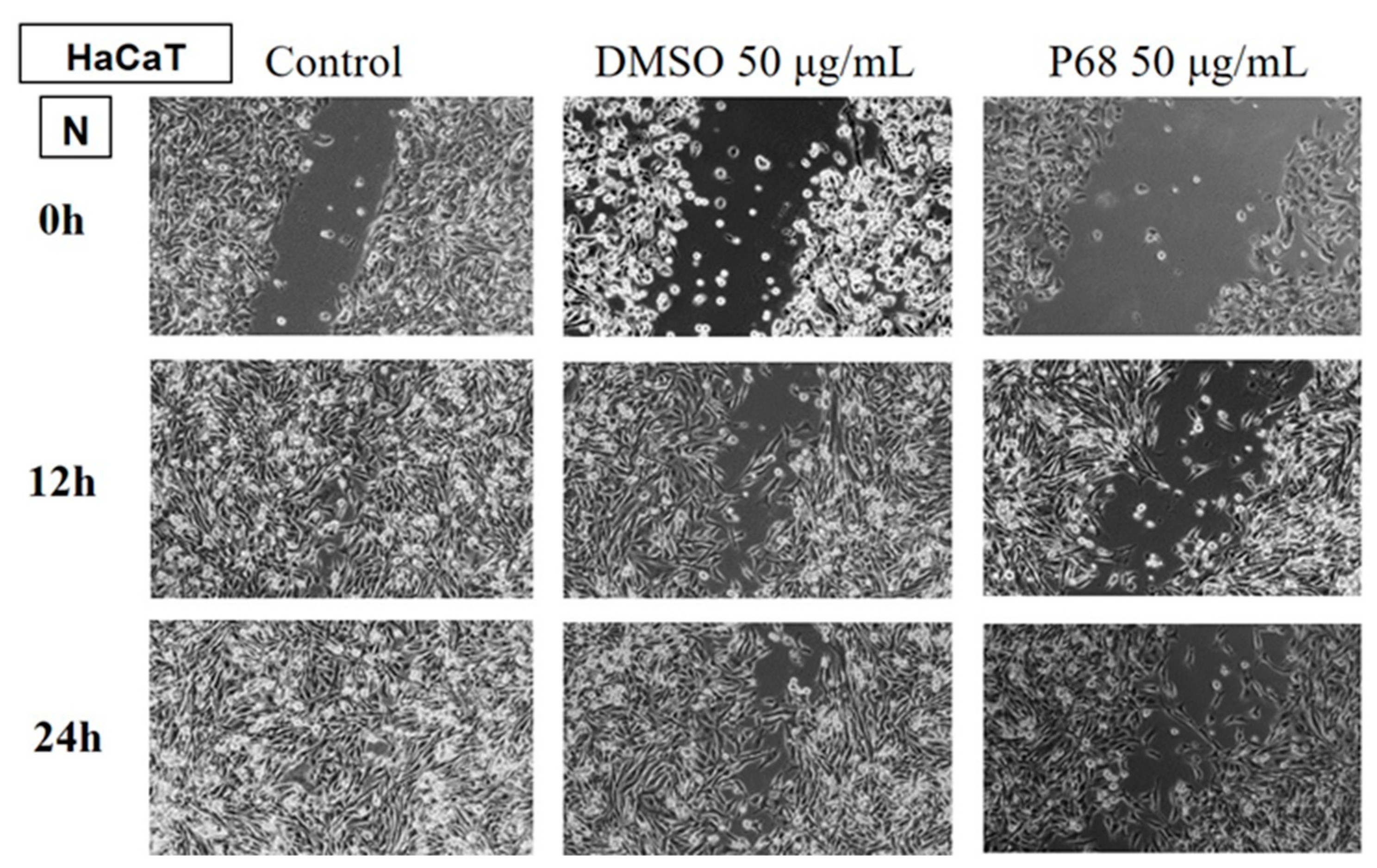 Preprints 142918 g012