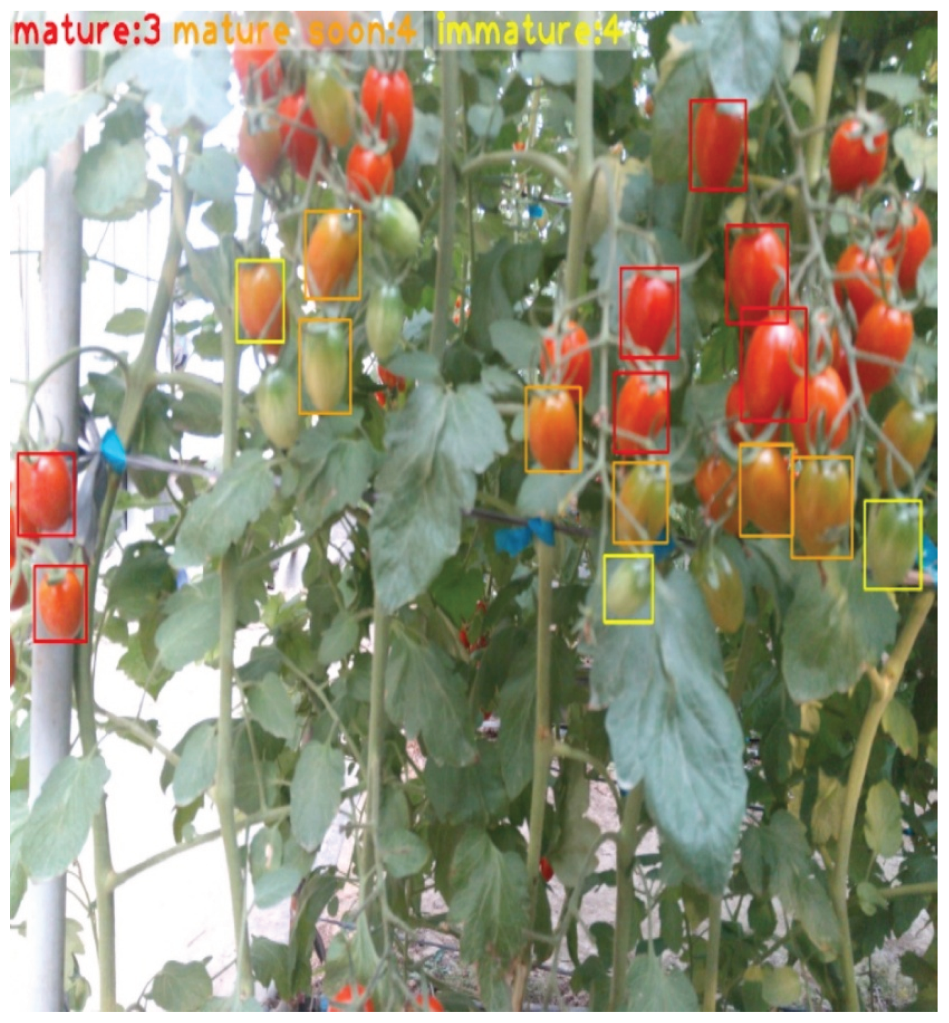 Preprints 200493 g004
