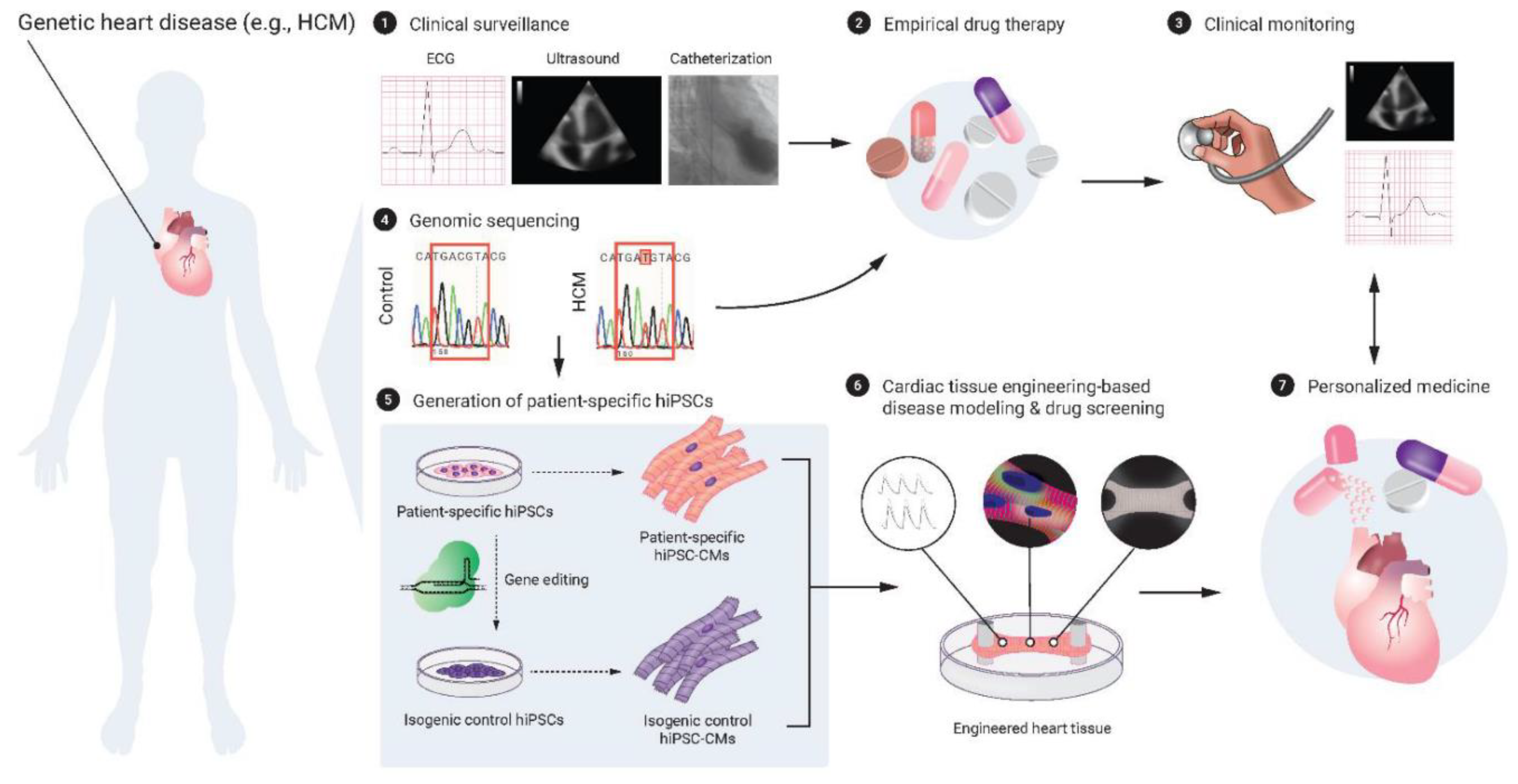 Preprints 75471 g002