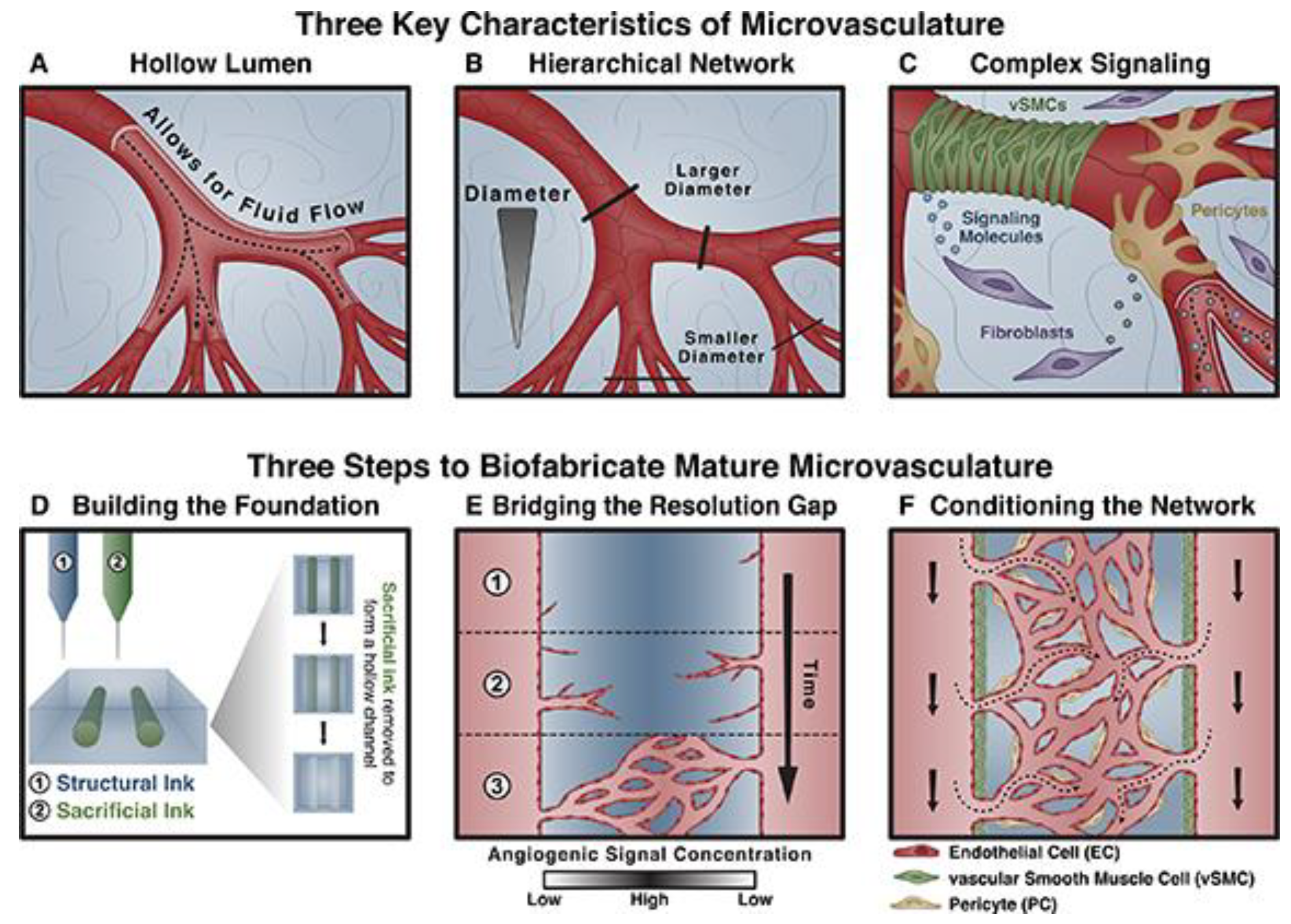 Preprints 75471 g003