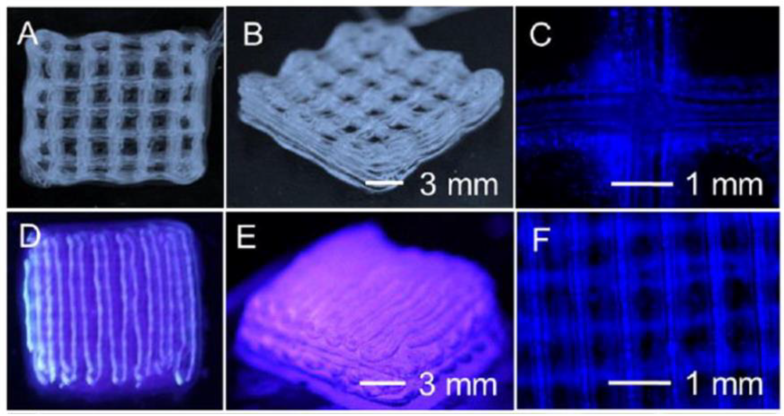 Preprints 75471 g006