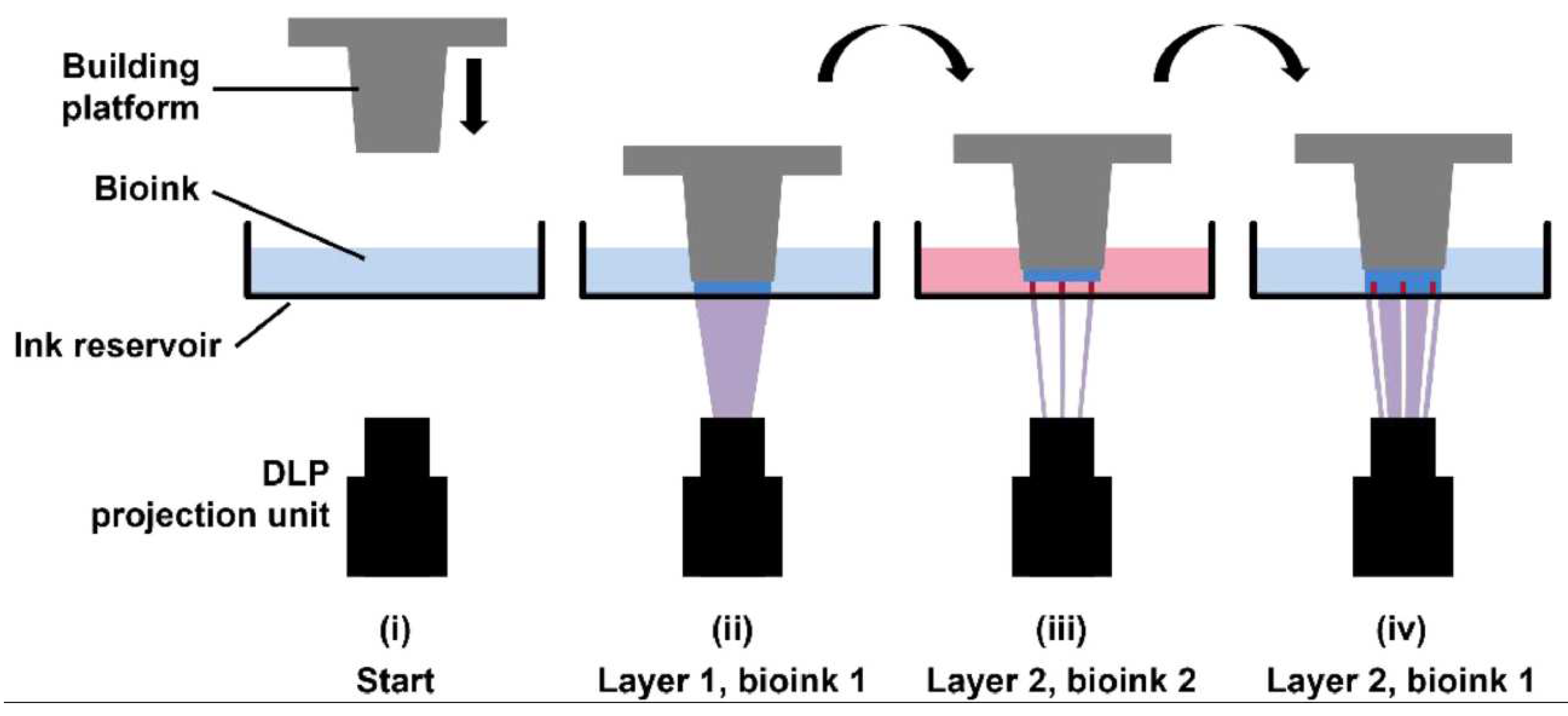 Preprints 75471 g008