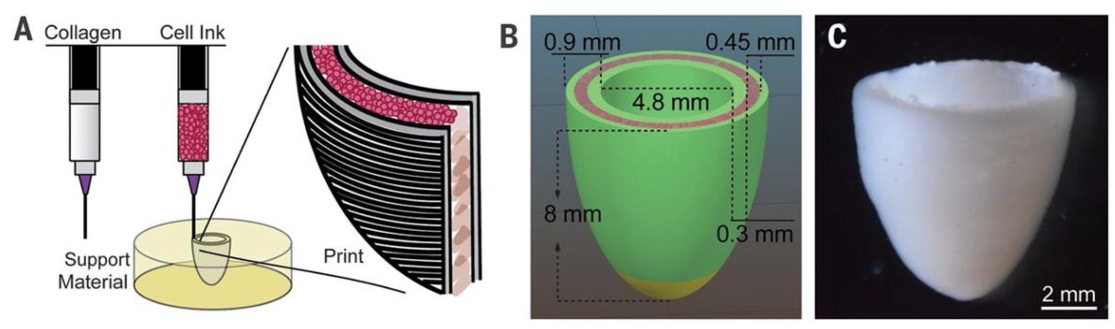Preprints 75471 g011