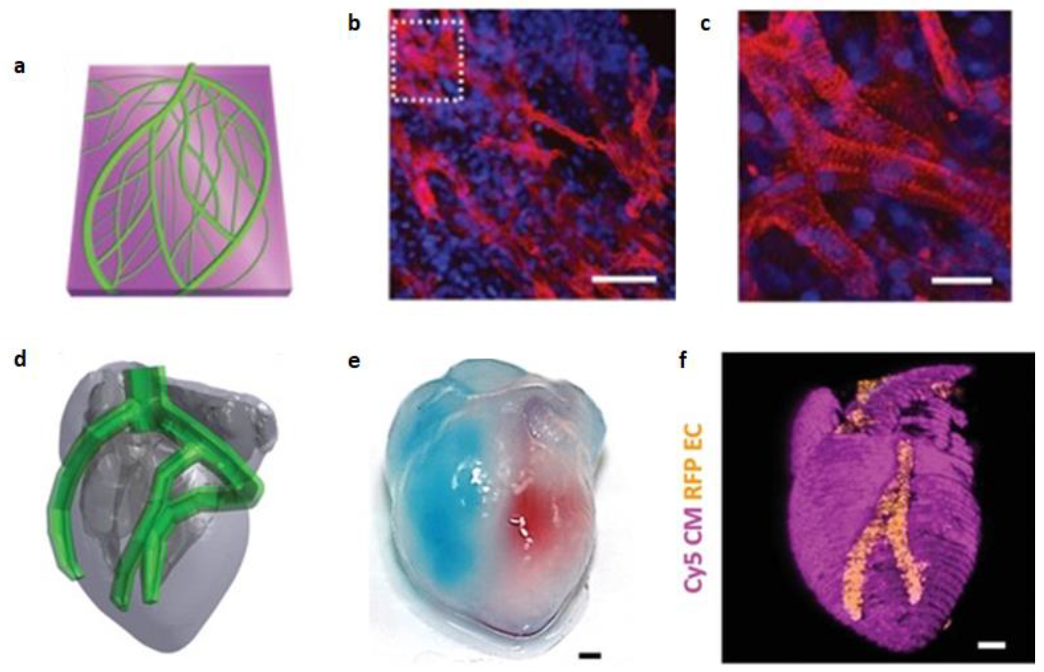 Preprints 75471 g012