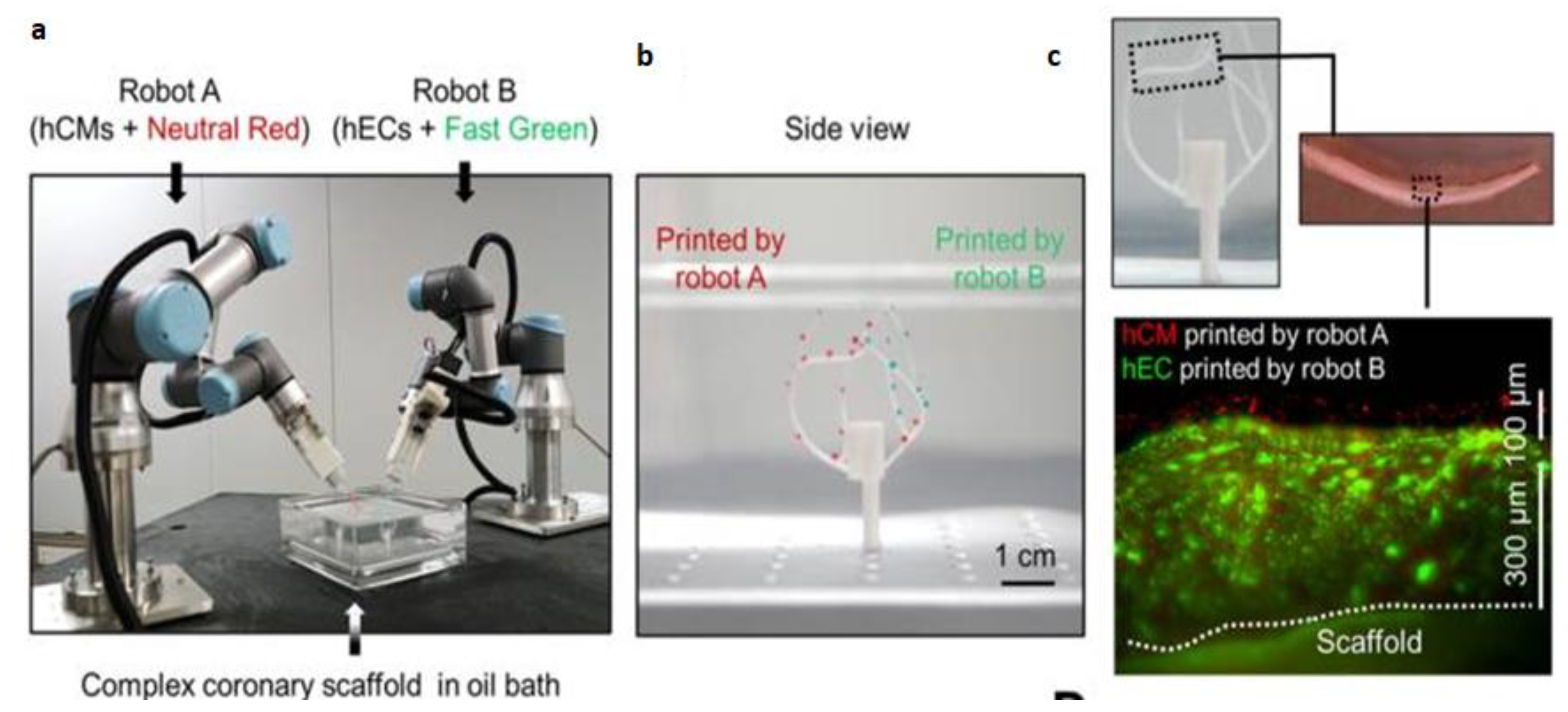 Preprints 75471 g013