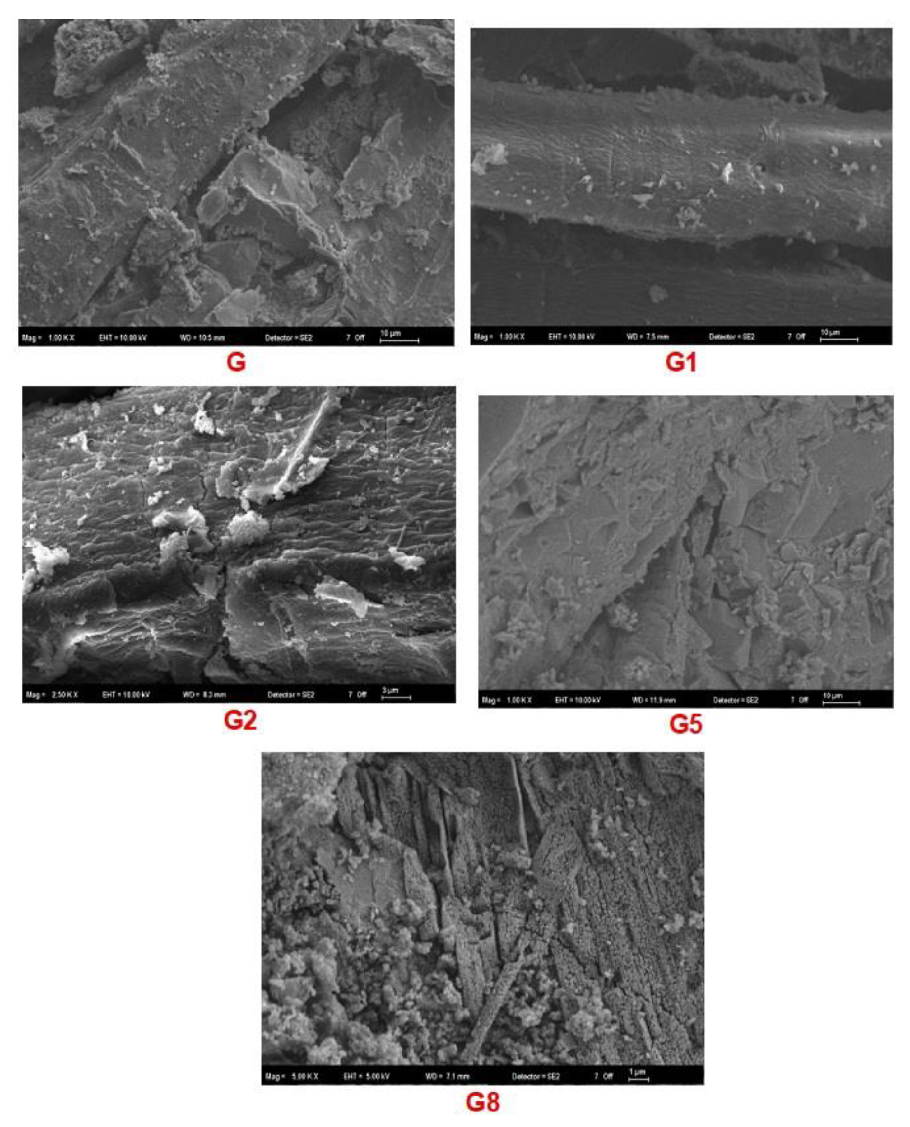 Preprints 191325 g008