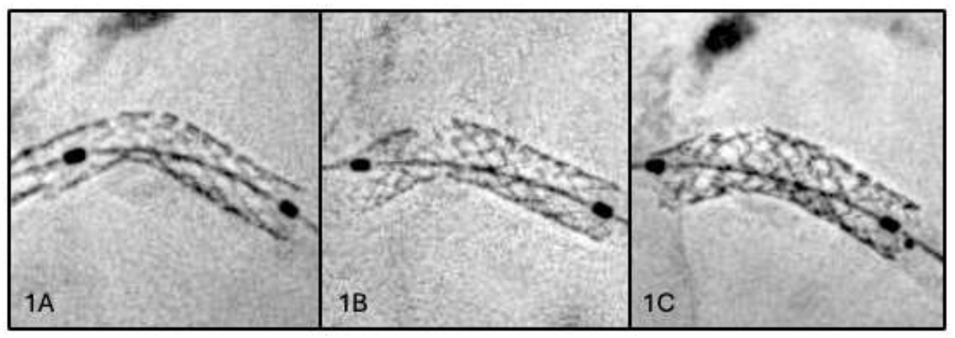 Preprints 207797 g001