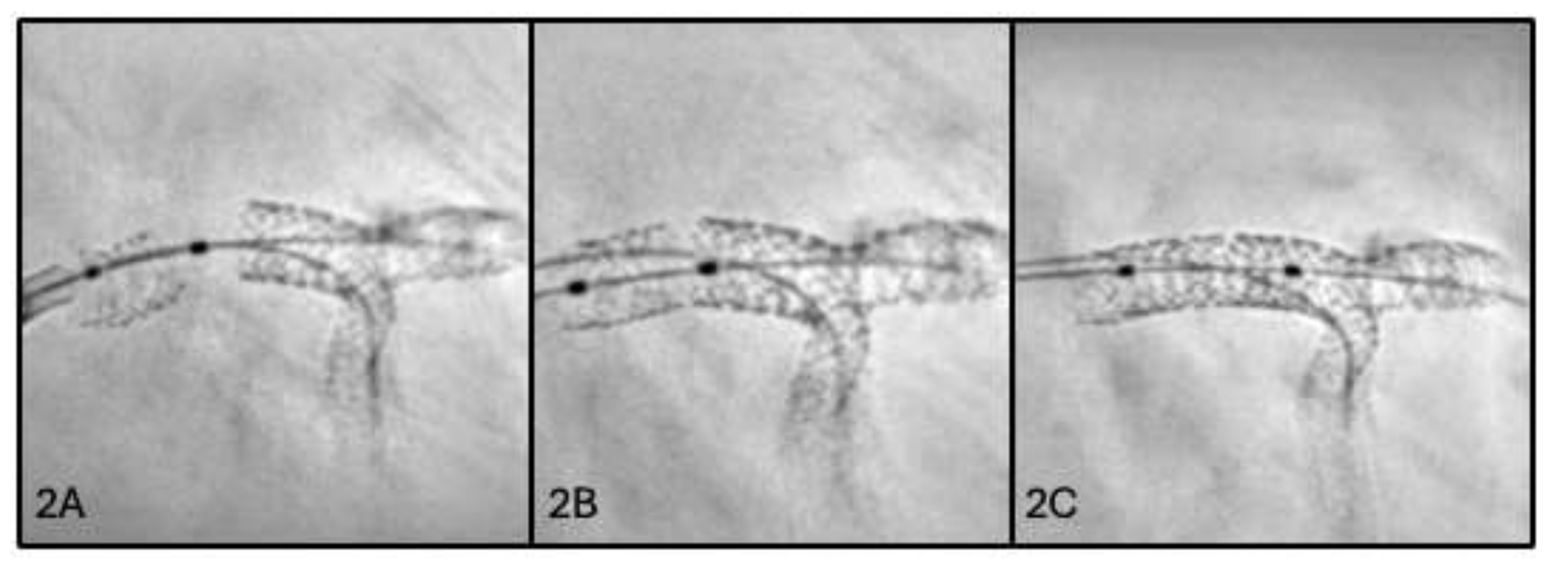 Preprints 207797 g002