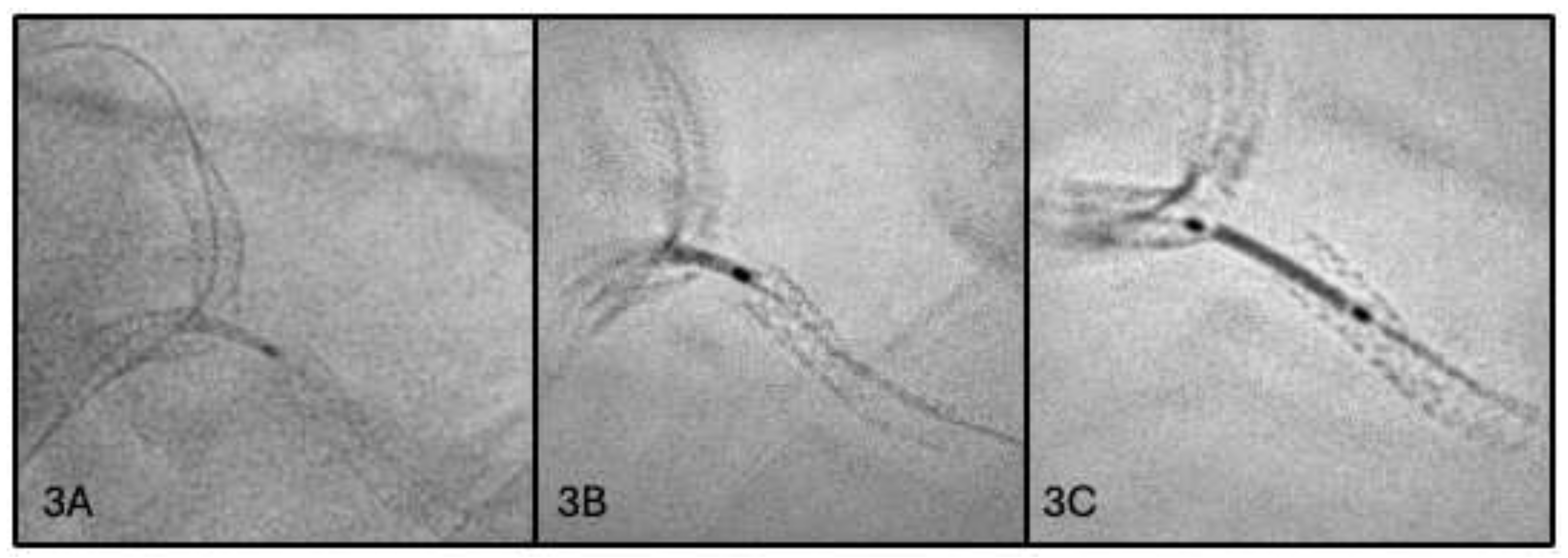 Preprints 207797 g003