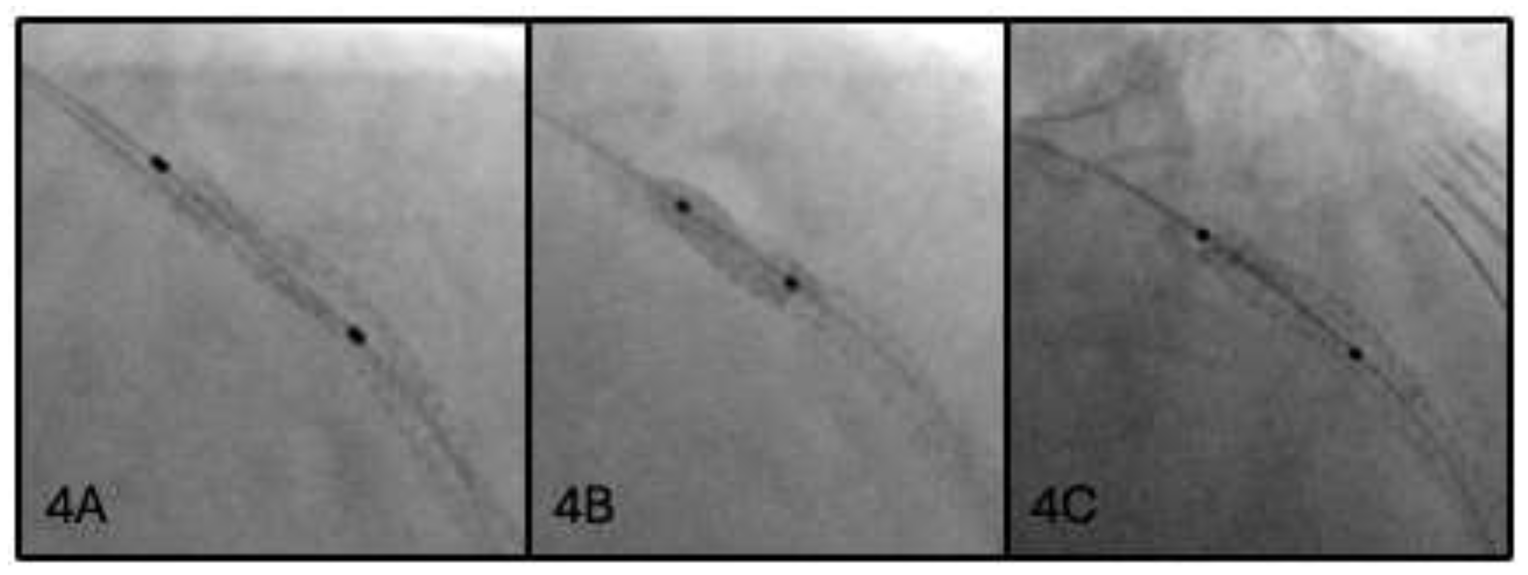 Preprints 207797 g004