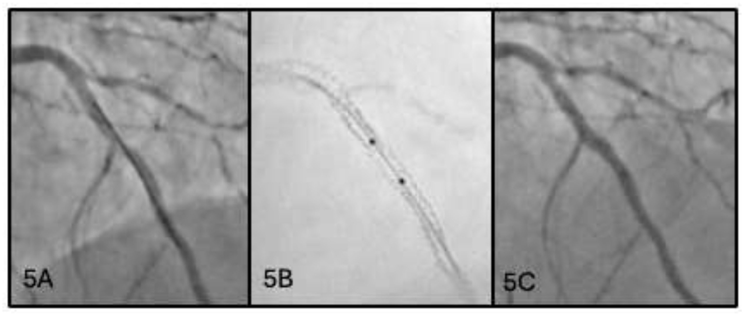 Preprints 207797 g005