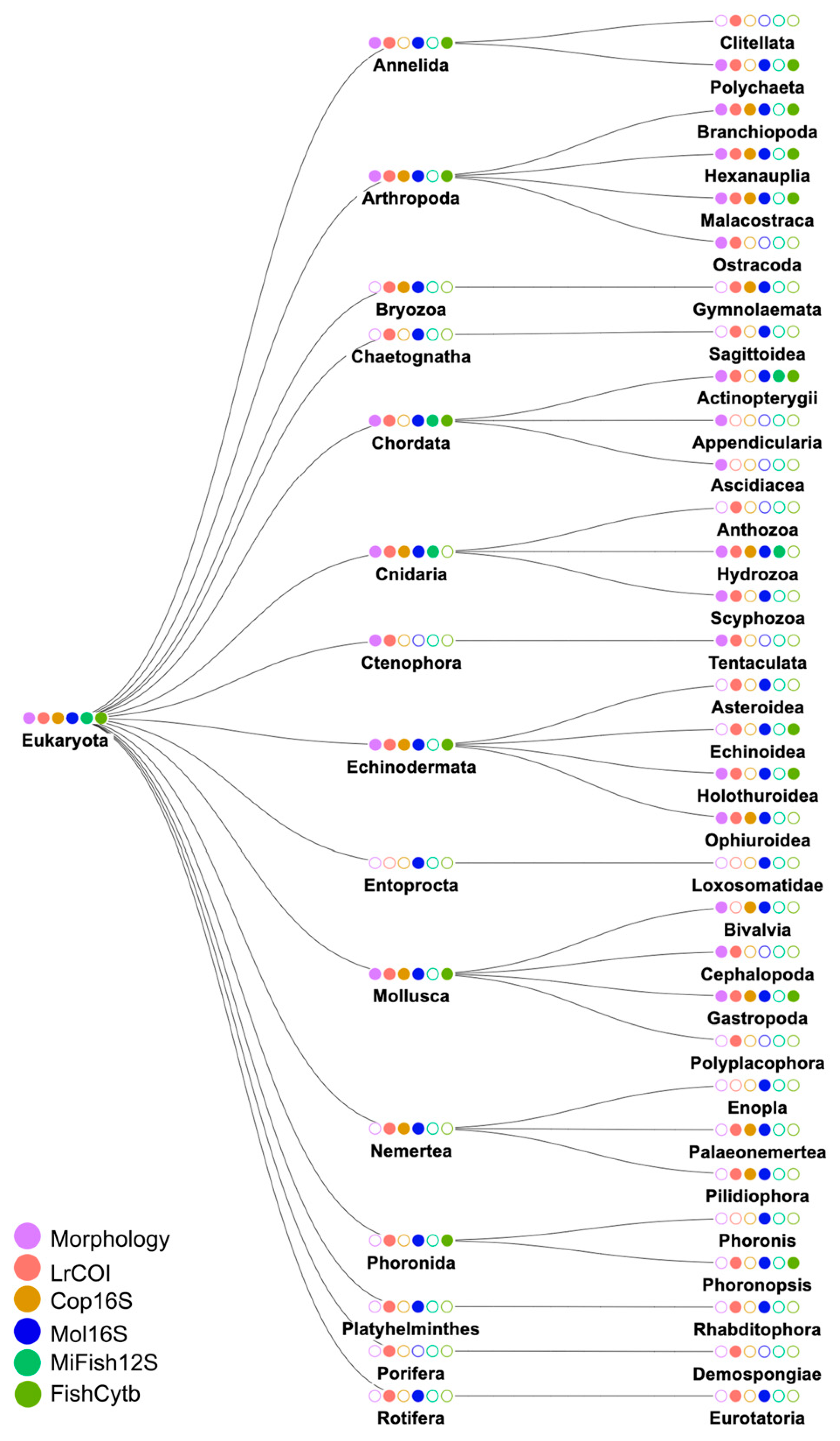 Preprints 86946 g002