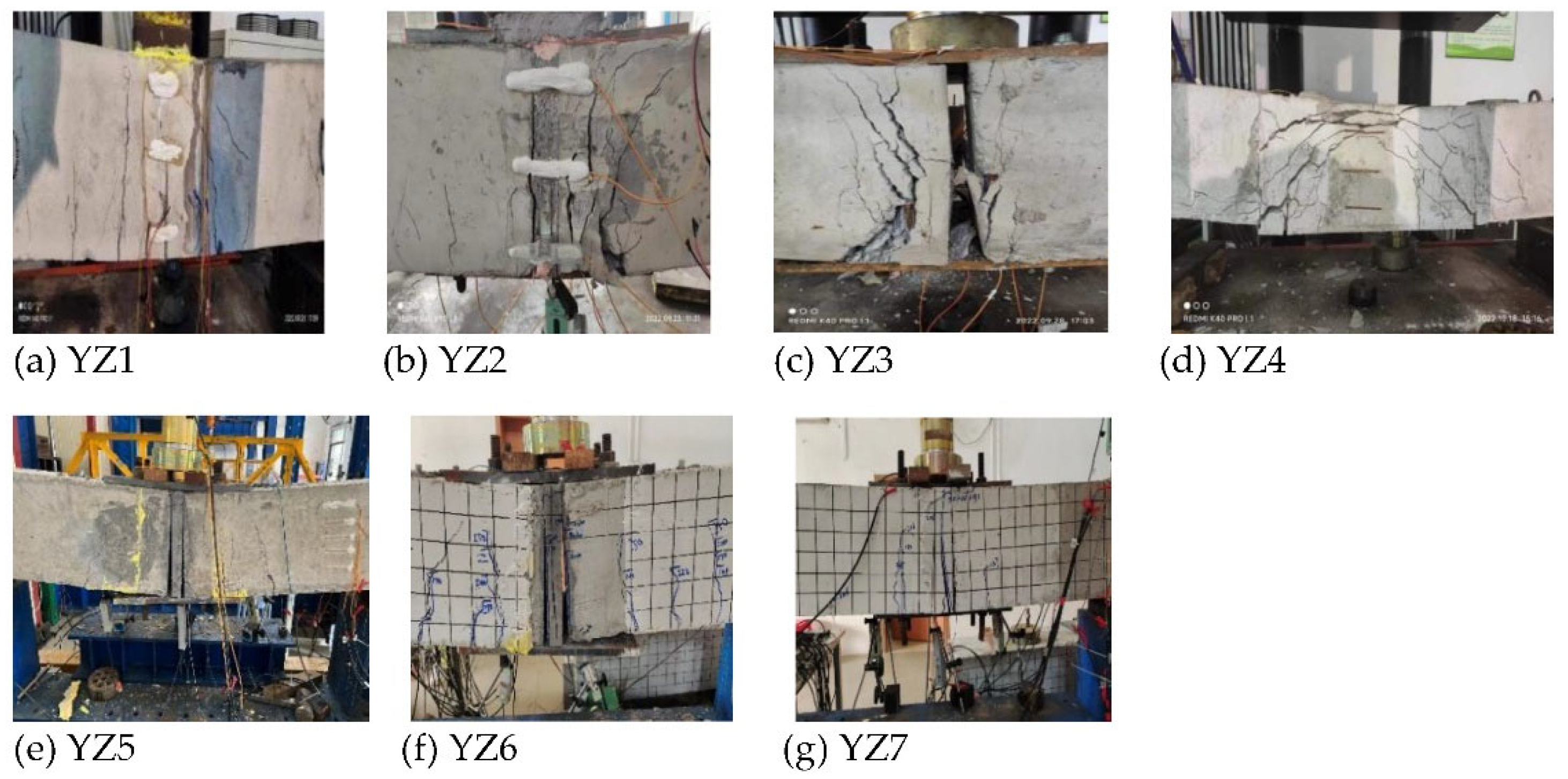 Preprints 122082 g004