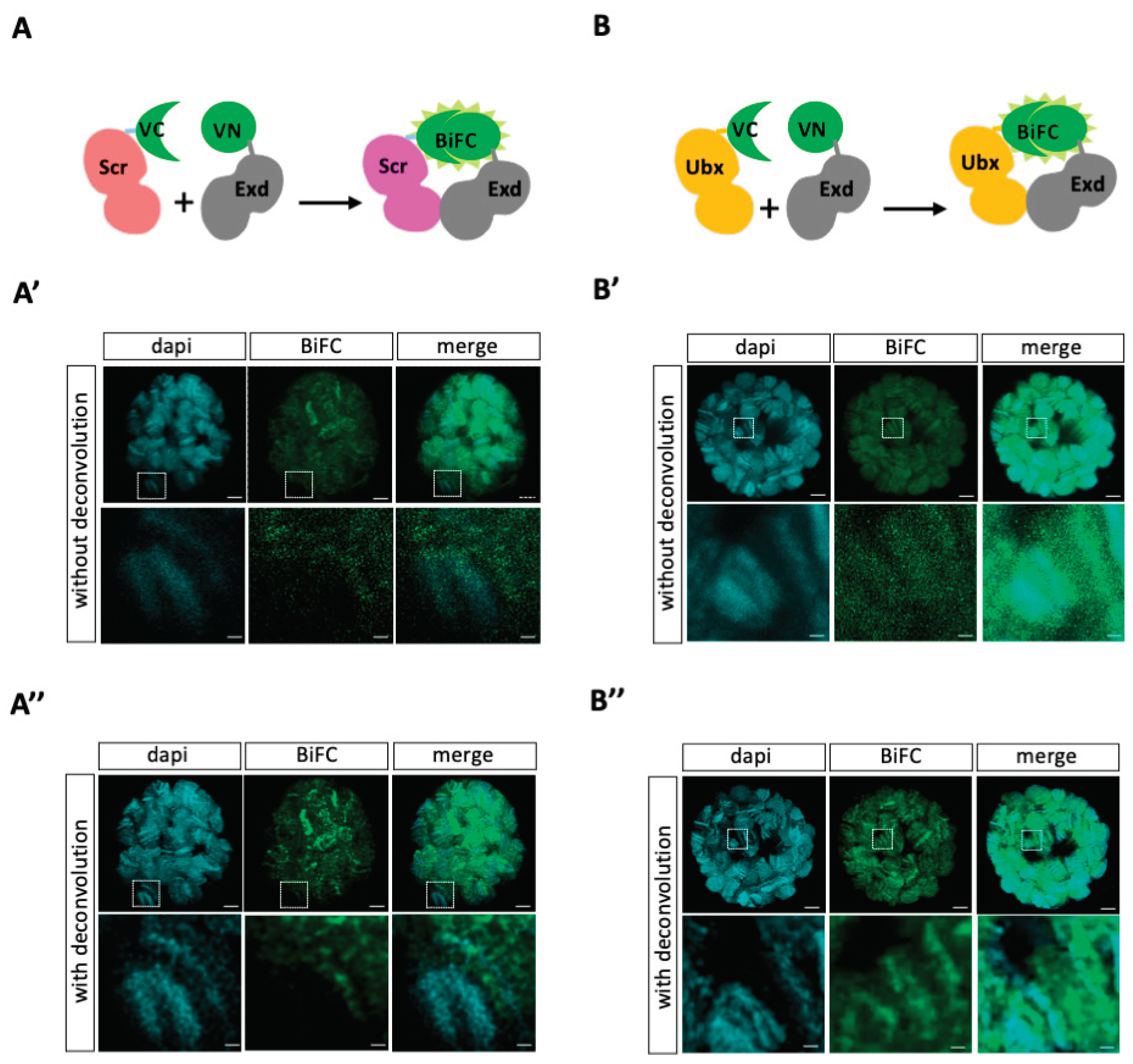 Preprints 99879 g001