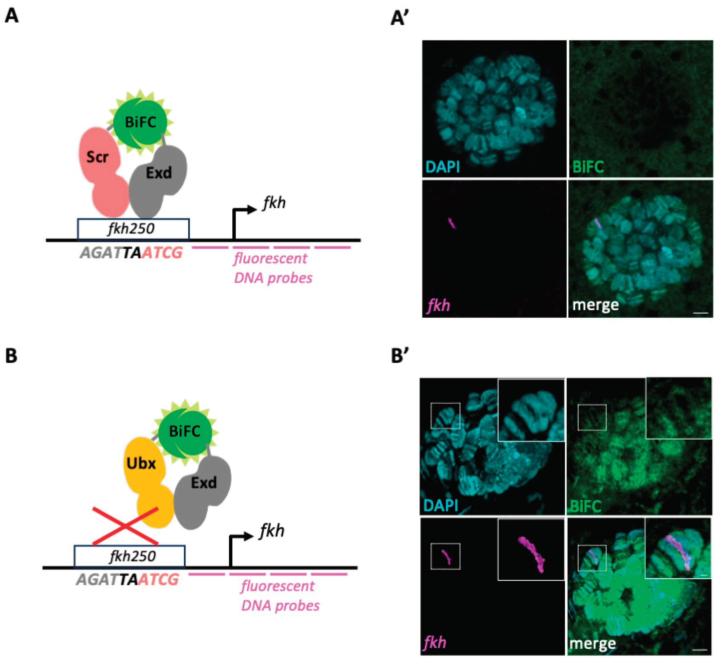 Preprints 99879 g002