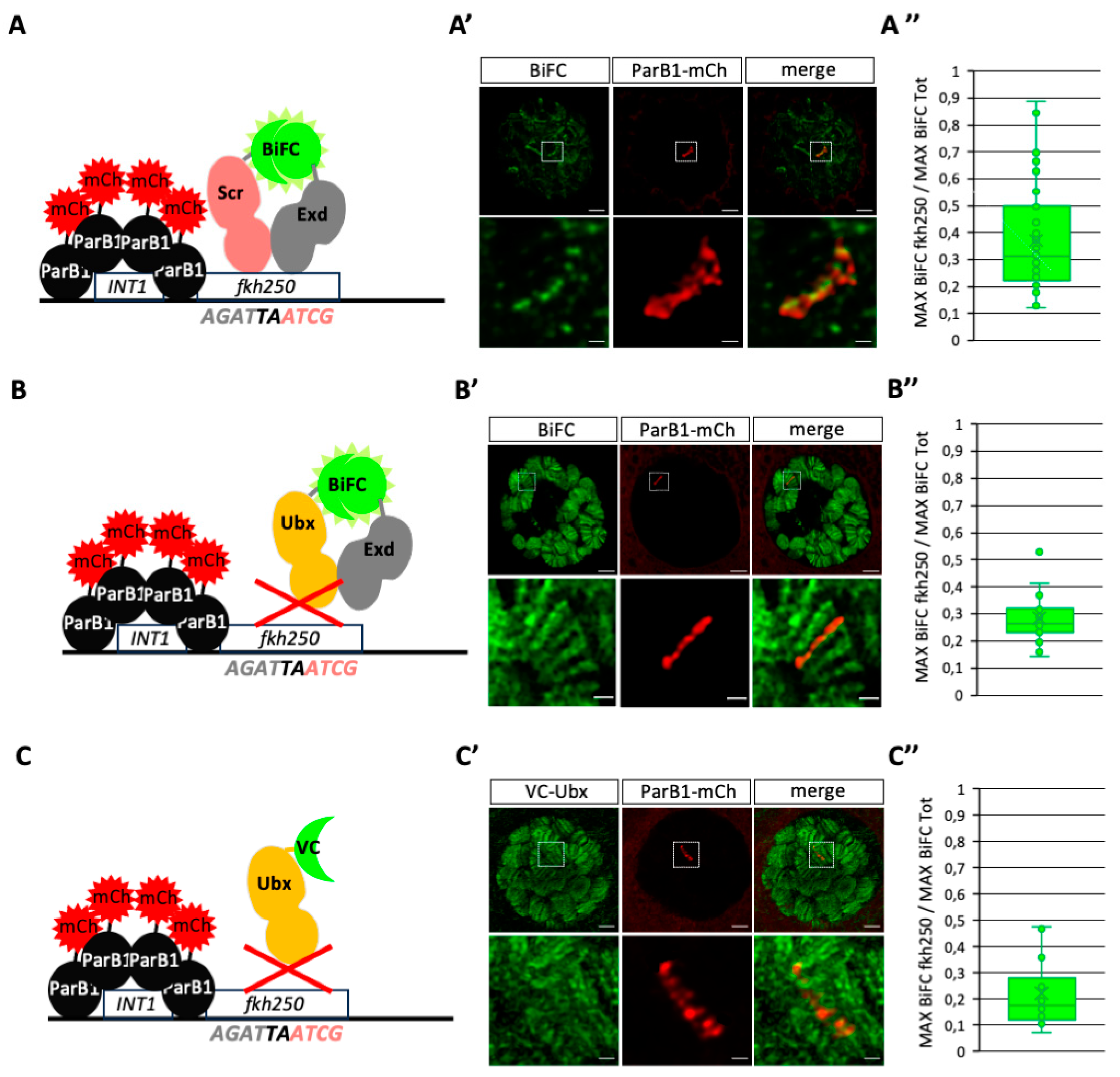 Preprints 99879 g003