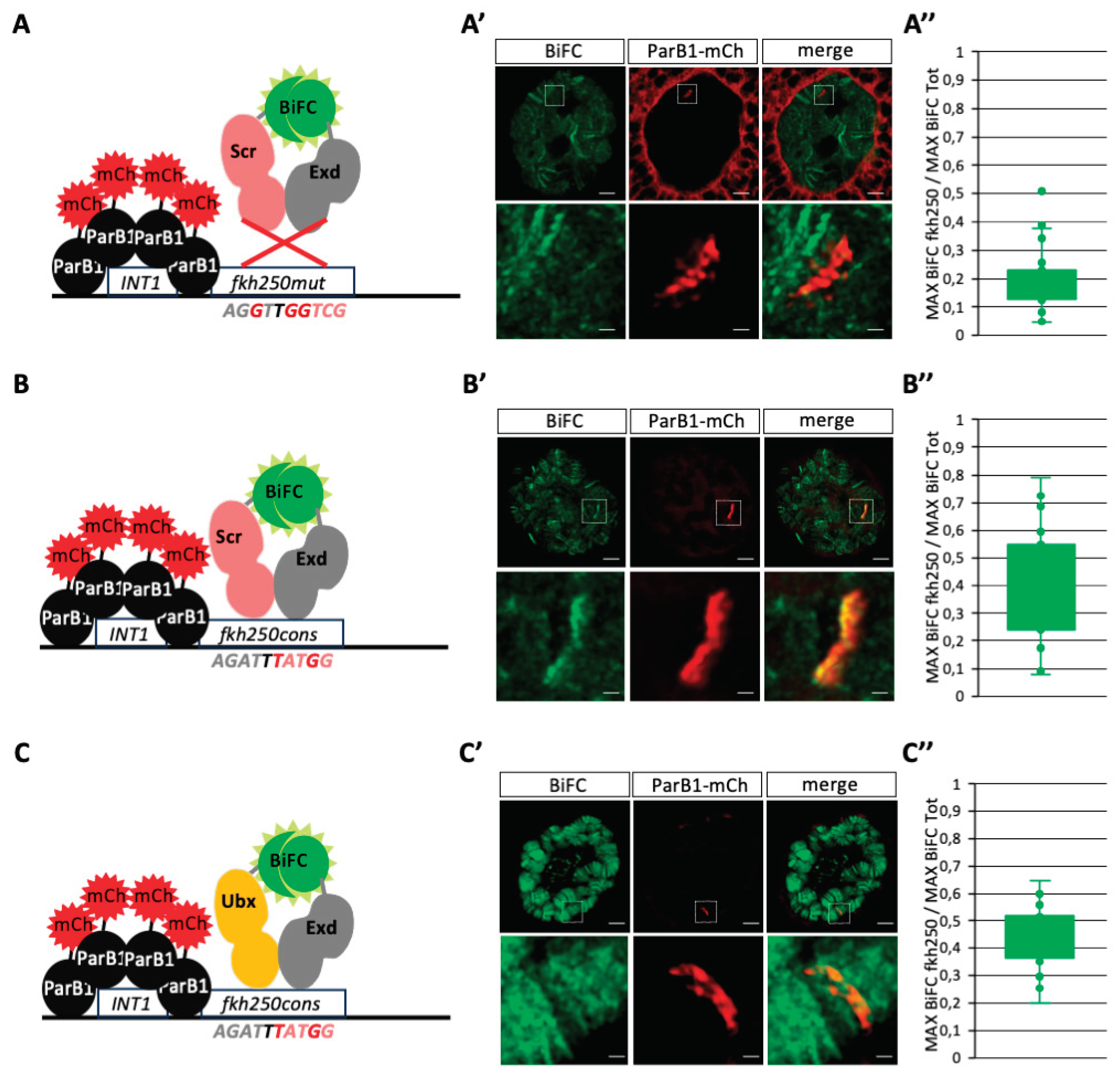 Preprints 99879 g004