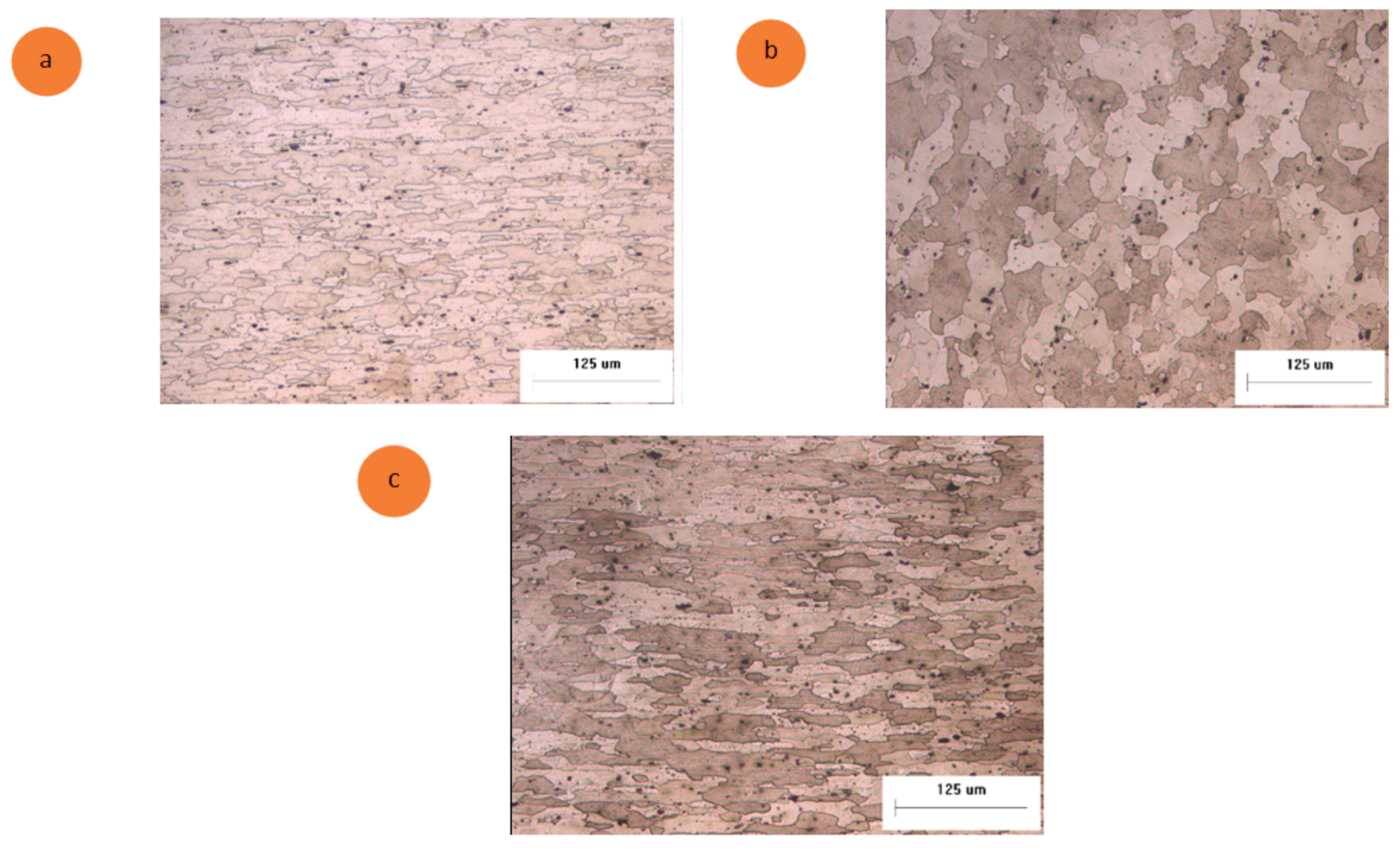 Preprints 175876 g002