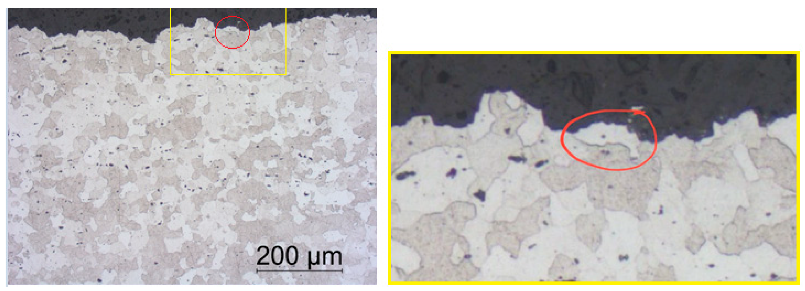 Preprints 175876 g007