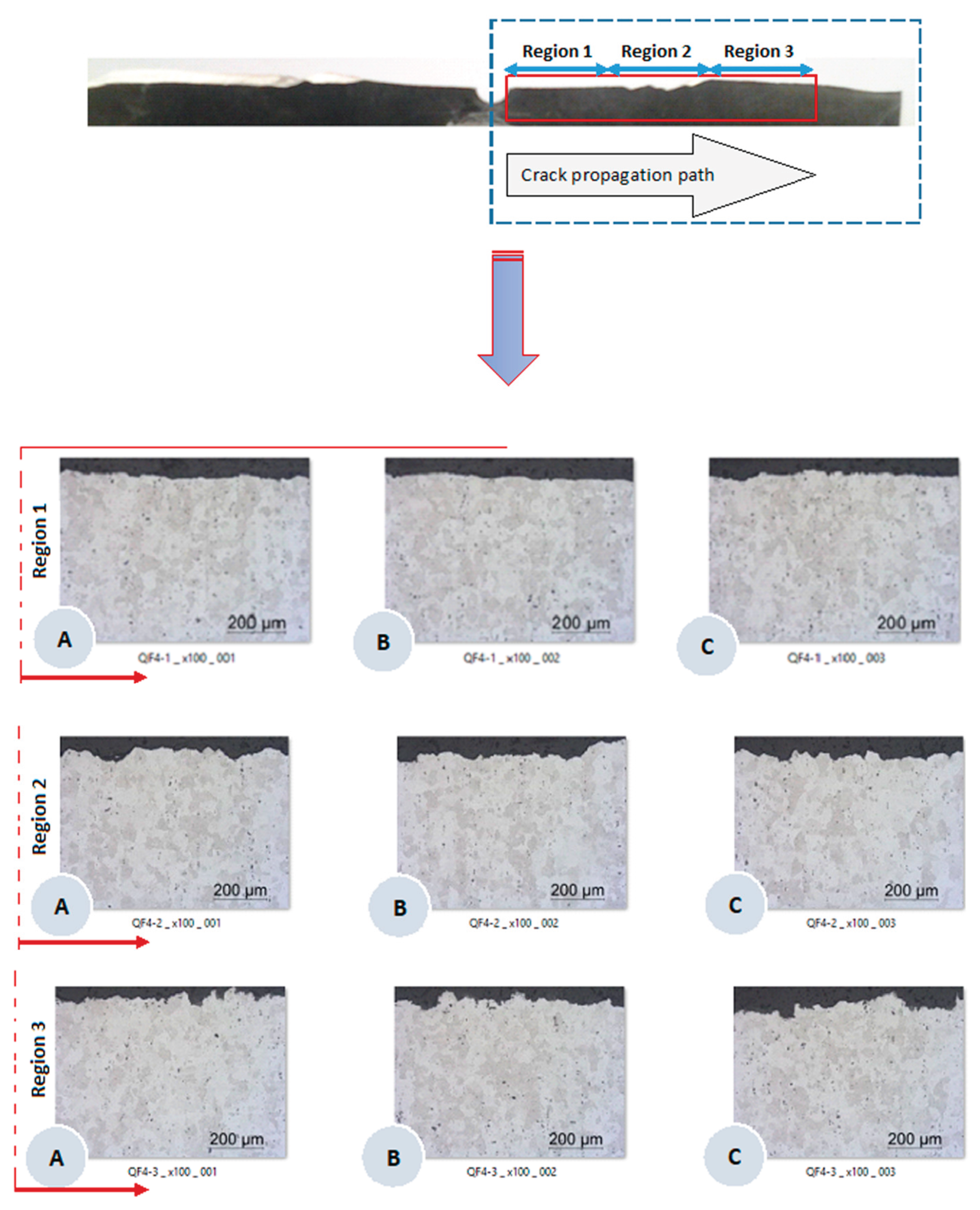 Preprints 175876 g008