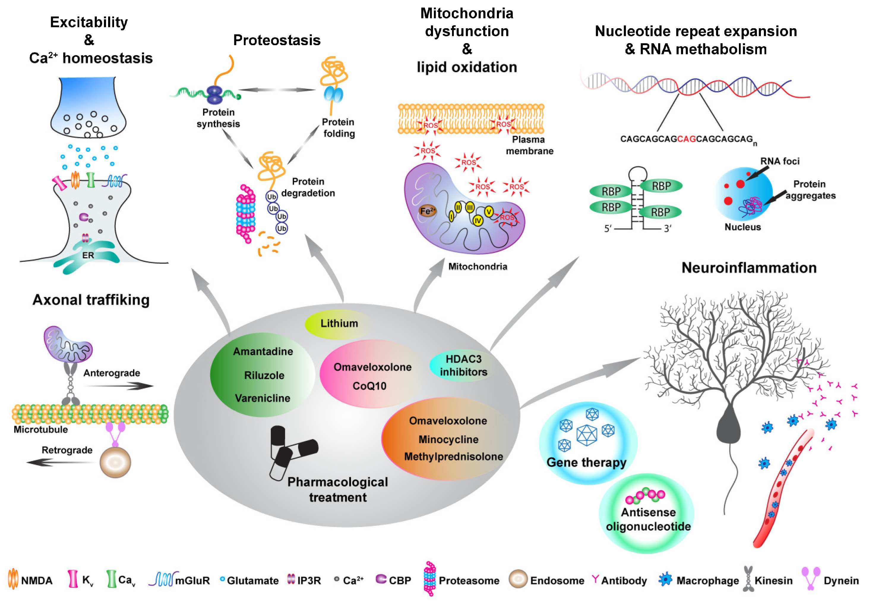 Preprints 92514 g001