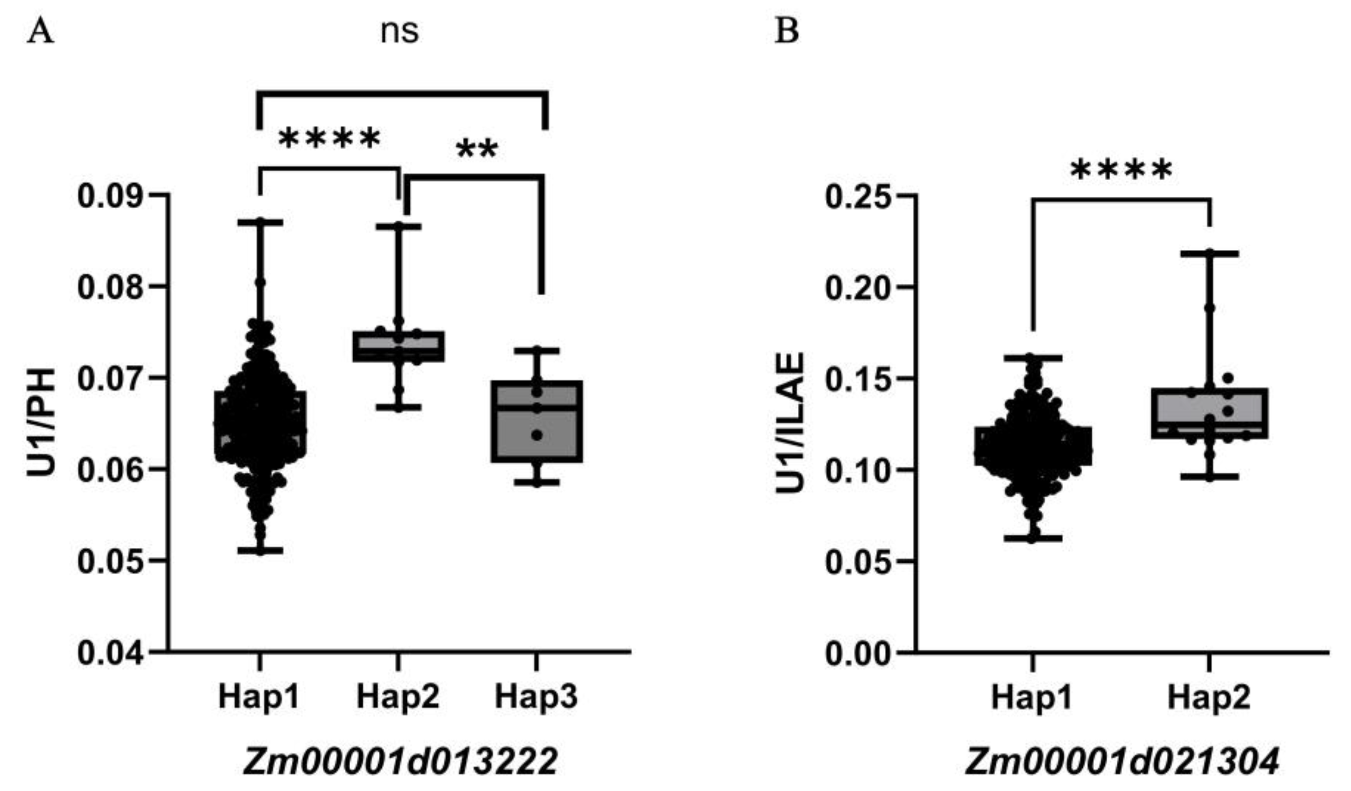 Preprints 192945 g005