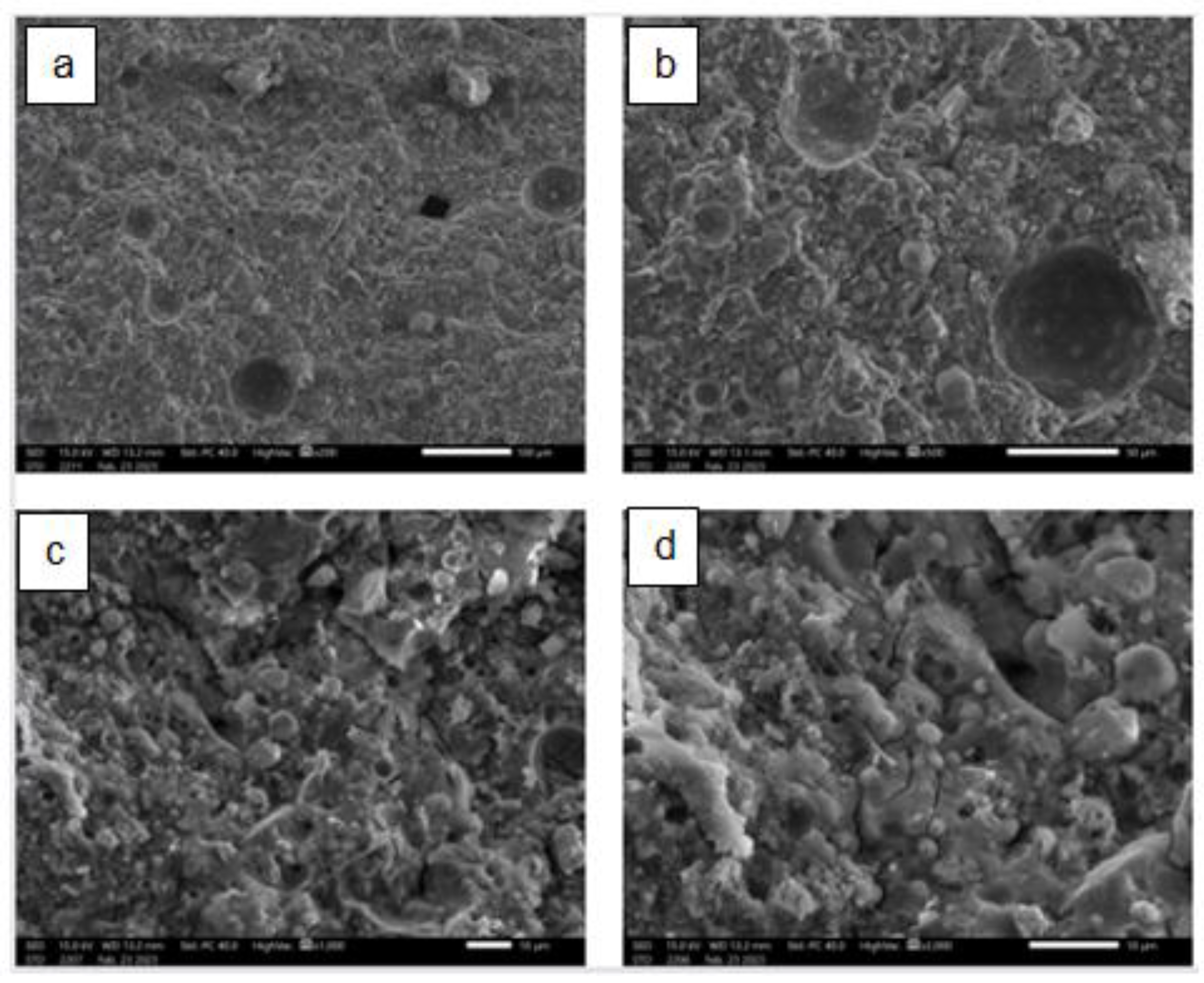 Preprints 81437 g010