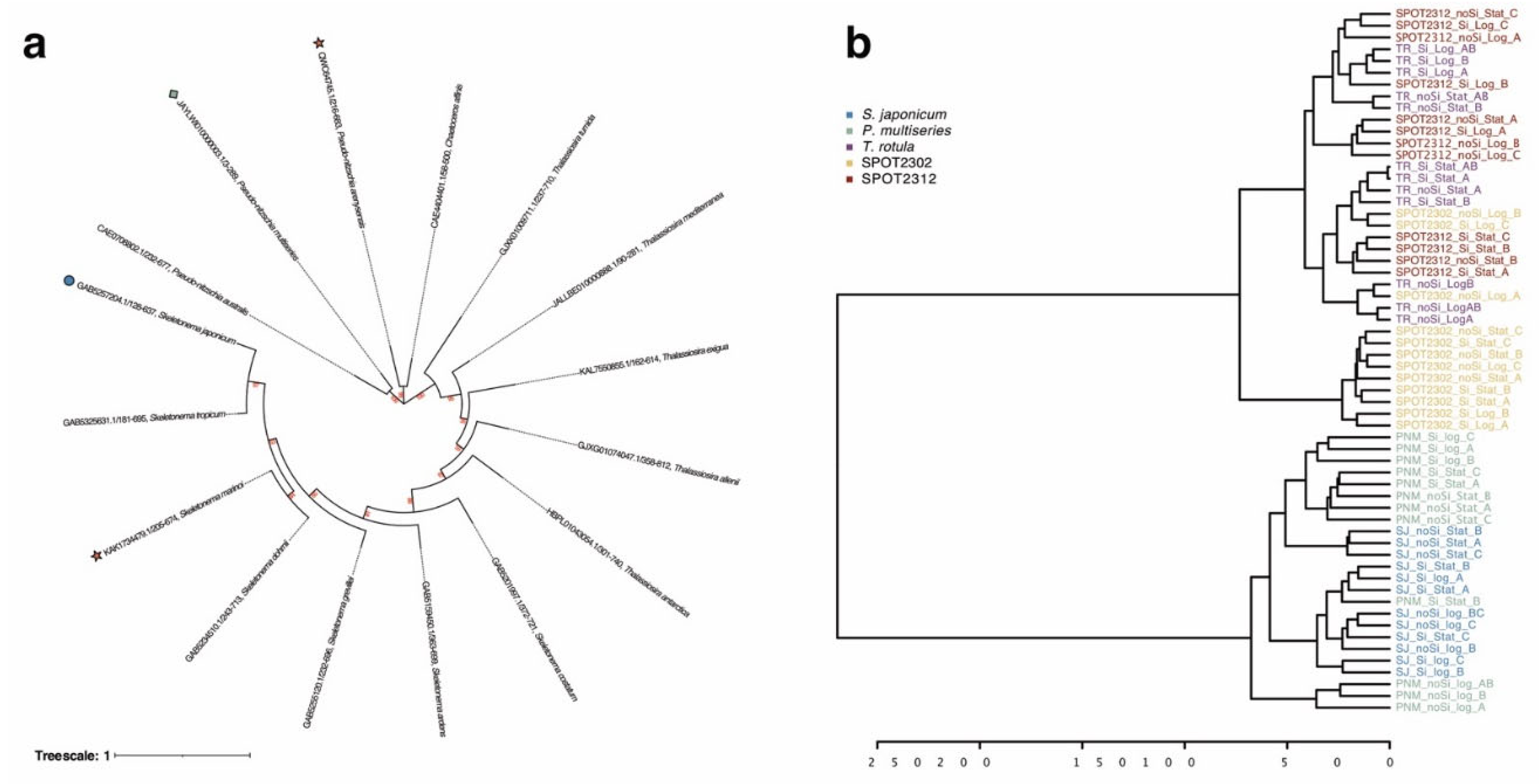 Preprints 178811 g005