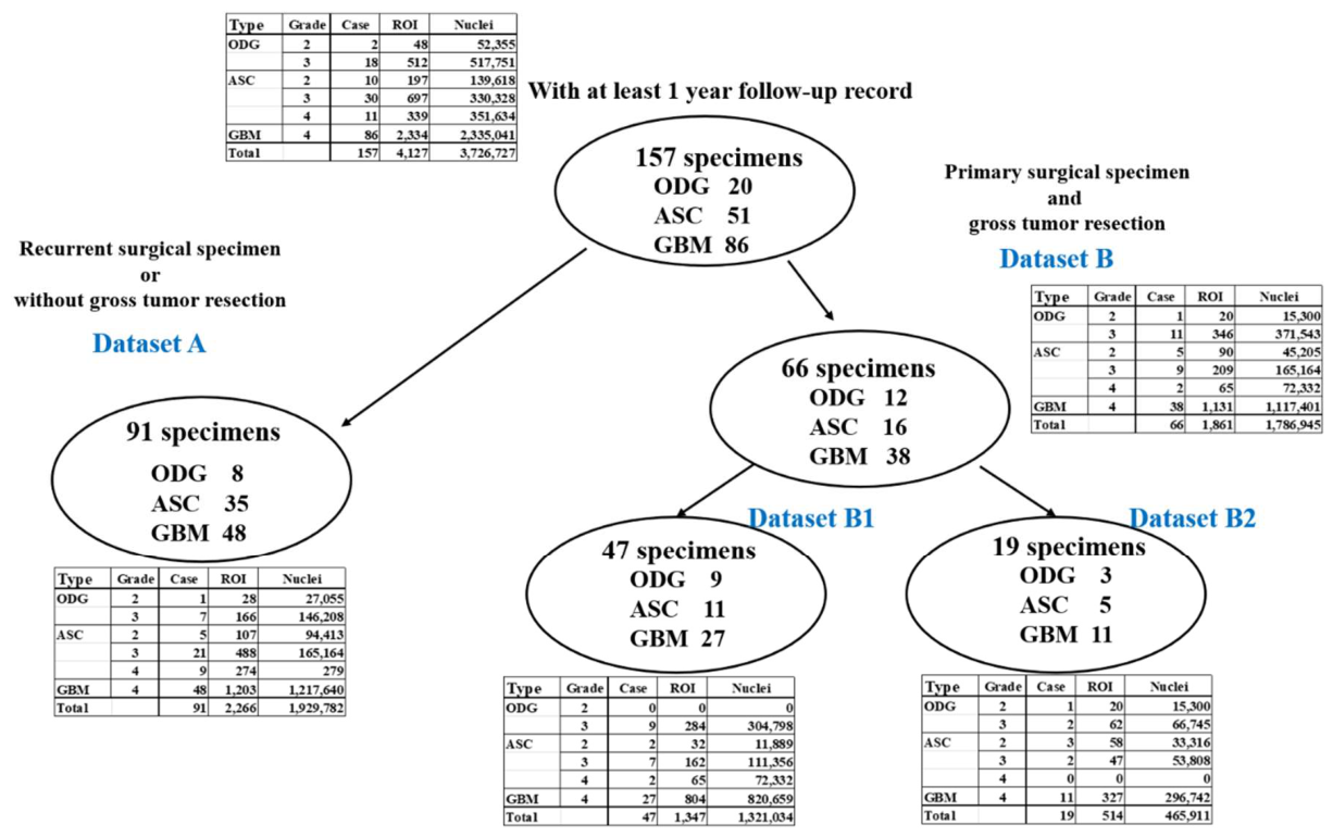Preprints 226911 g001 Preprints 226911 g001