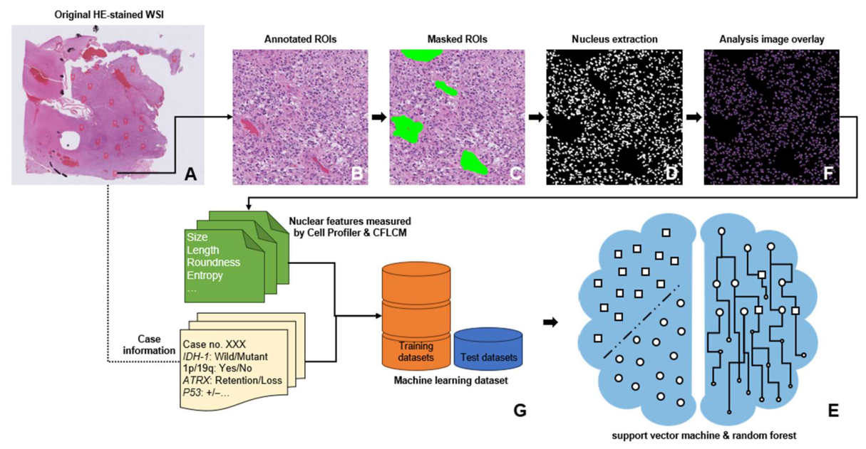 Preprints 226911 g002 Preprints 226911 g002