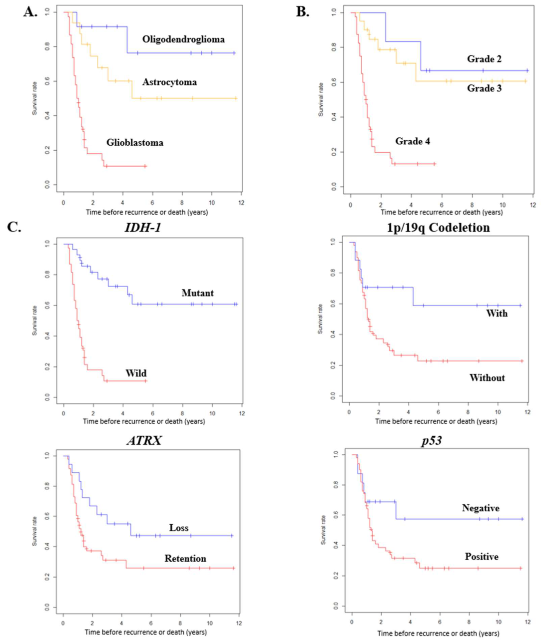 Preprints 226911 g003 Preprints 226911 g003
