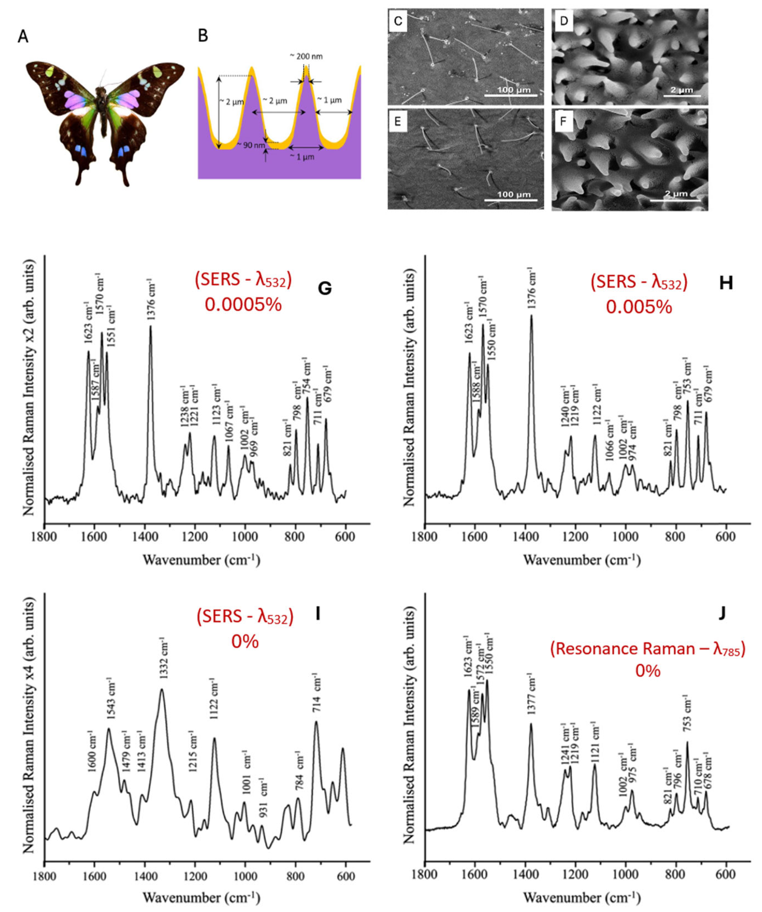 VC Serum 4 & VA Serum セット Illuminating Malaria: Spectroscopy's Vital Role in Diagnosis