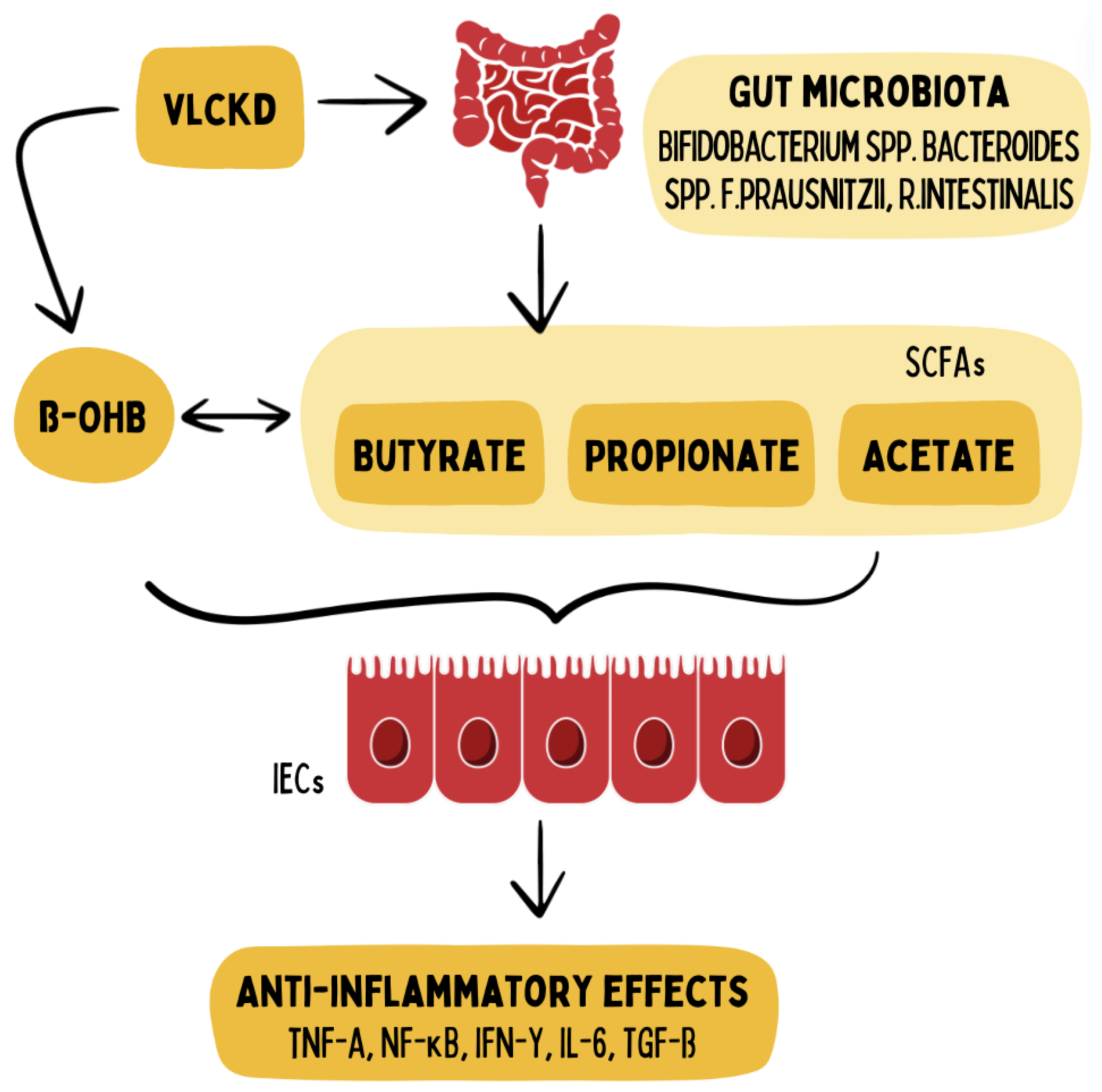 Carnivore Diet as Regenerative Immunotherapy for Inflammatory